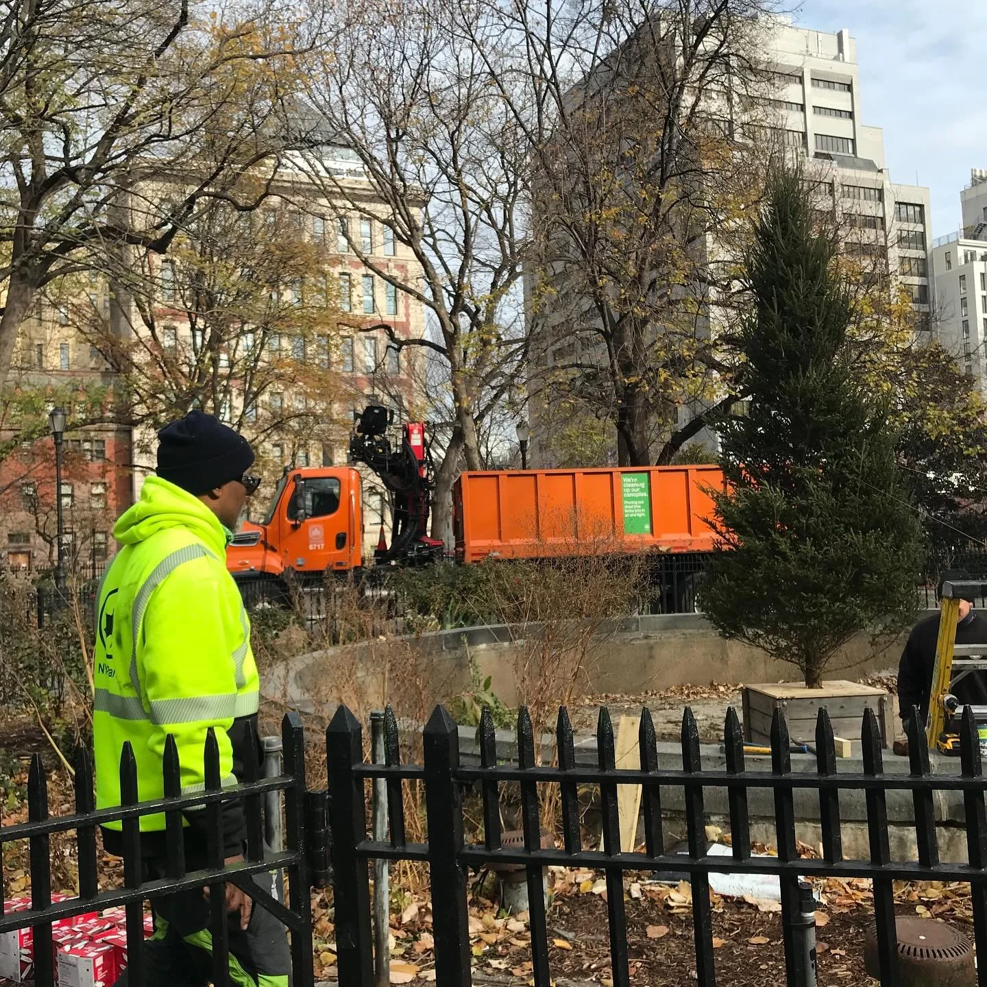 They&rsquo;re here!!!
Thank you to @nycparks workers for installing our Christmas trees in northeast and West parks- lights will be added soon by @spna_nyc volunteers in time for the tree lighting next week!

Hope to see you there!