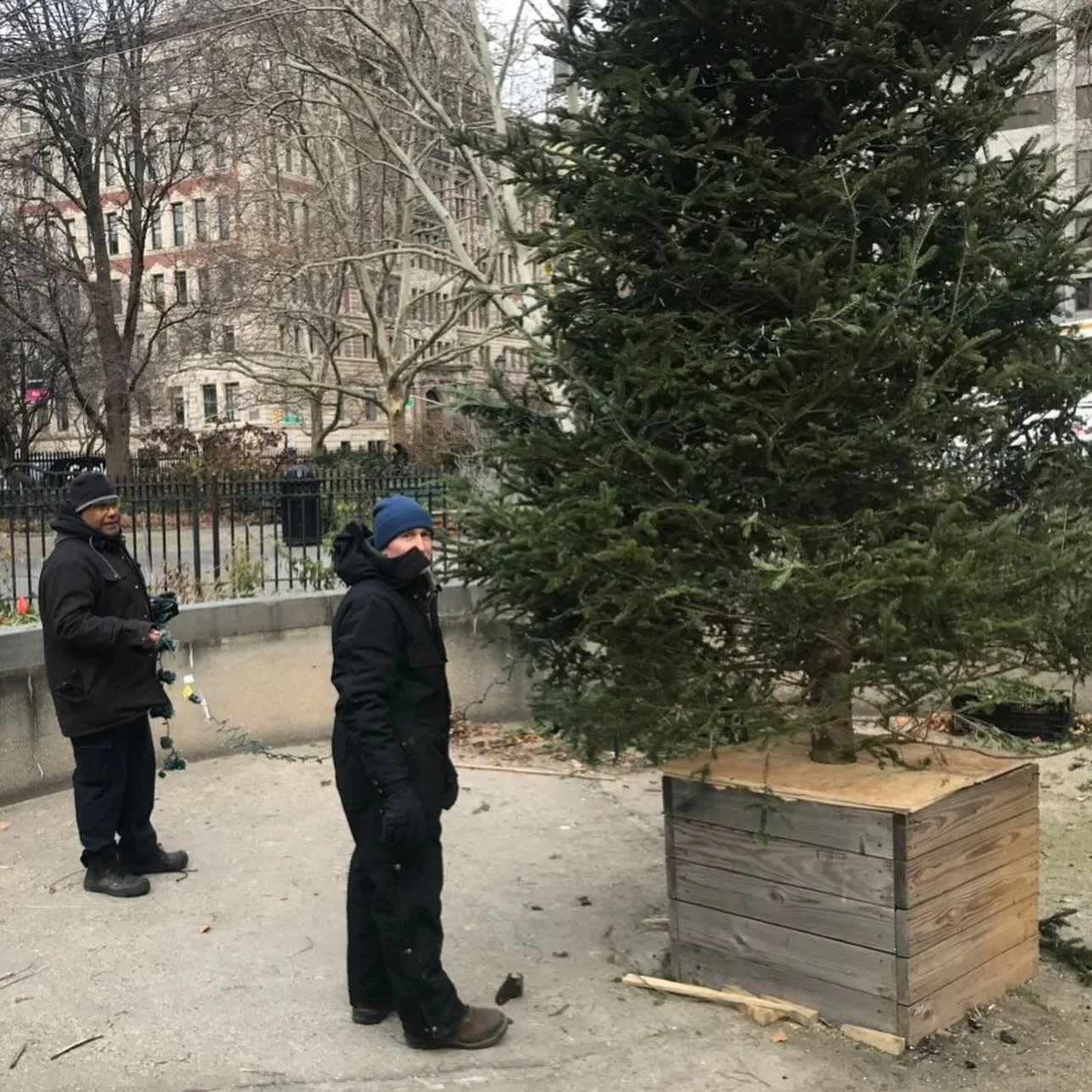 Sending an enormous thank you to Roman and Lugo from @nycparks for coming out in the frigid weather to trim our park Christmas trees yesterday. Here with SPNA Board member Phyllis Mangels up on the ladder. 

 Join us at the Tree lighting 
Wed Dec 10t
