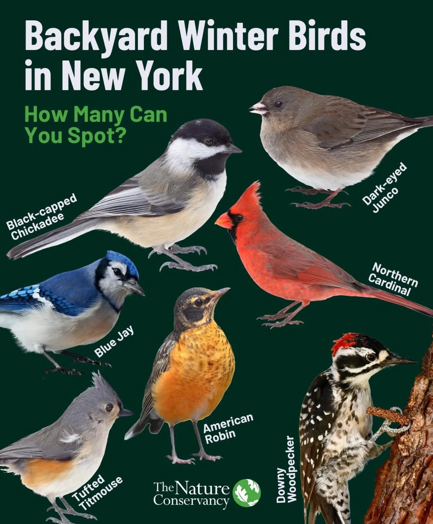 Sharing from @nature.ny