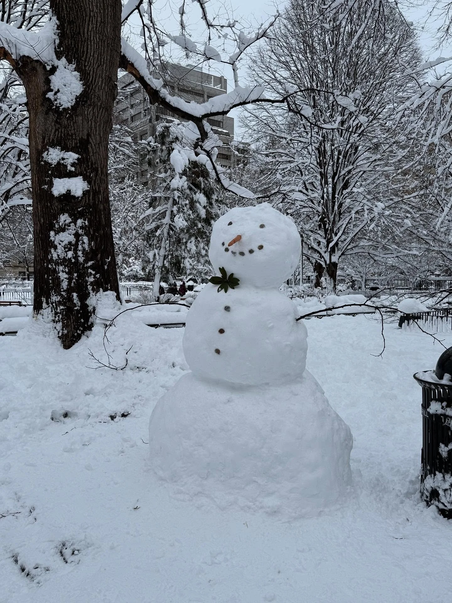 Snow people snd more ❄️🐶☃️