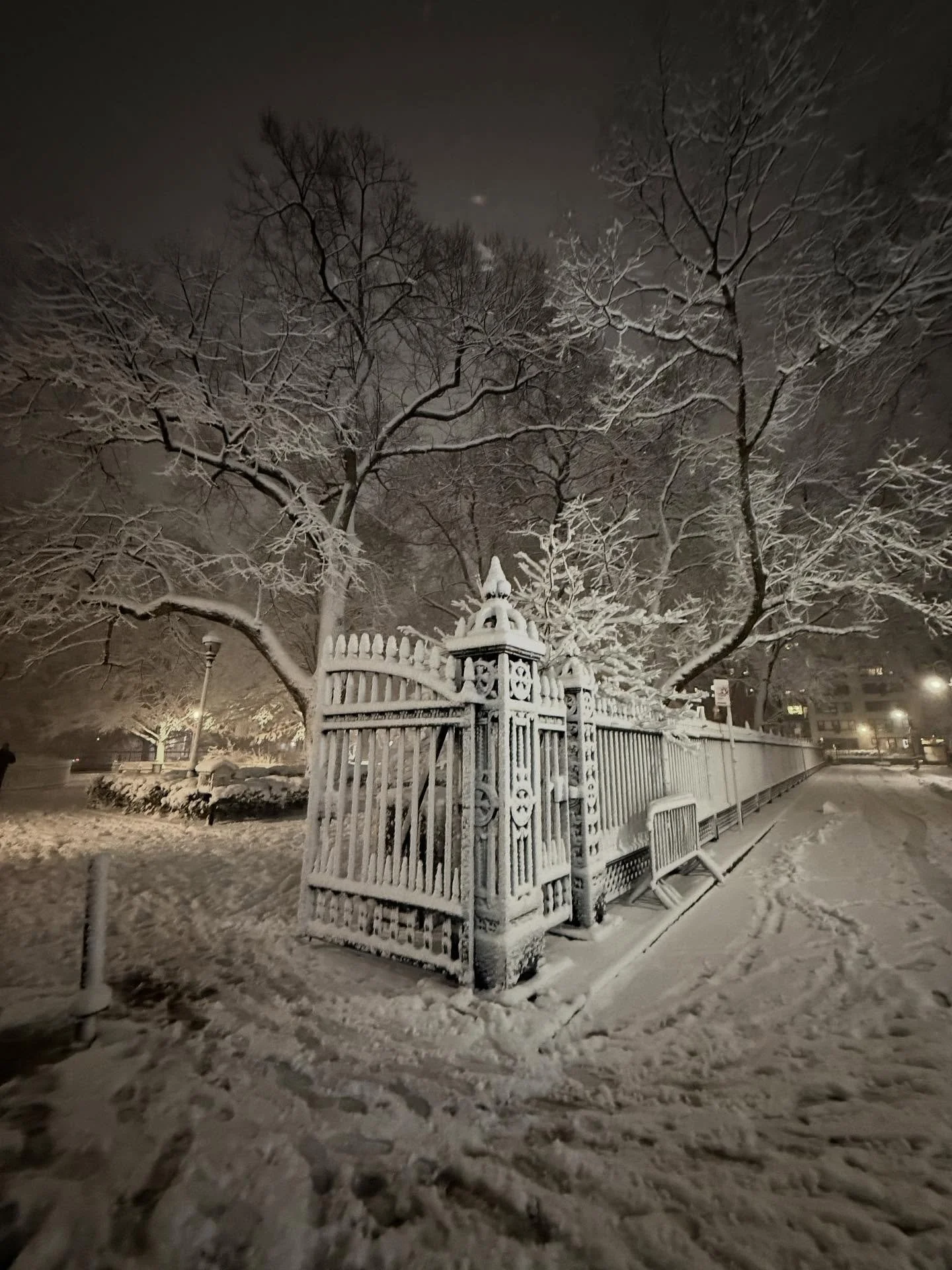 Around the park for blizzard of 2026❄️❄️