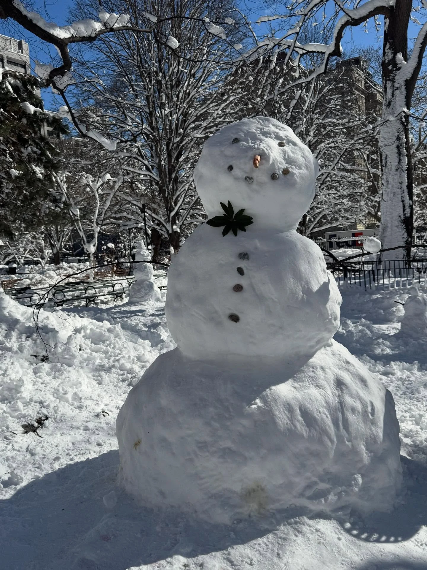Post snow beauty in the park ❄️☃️☀️
