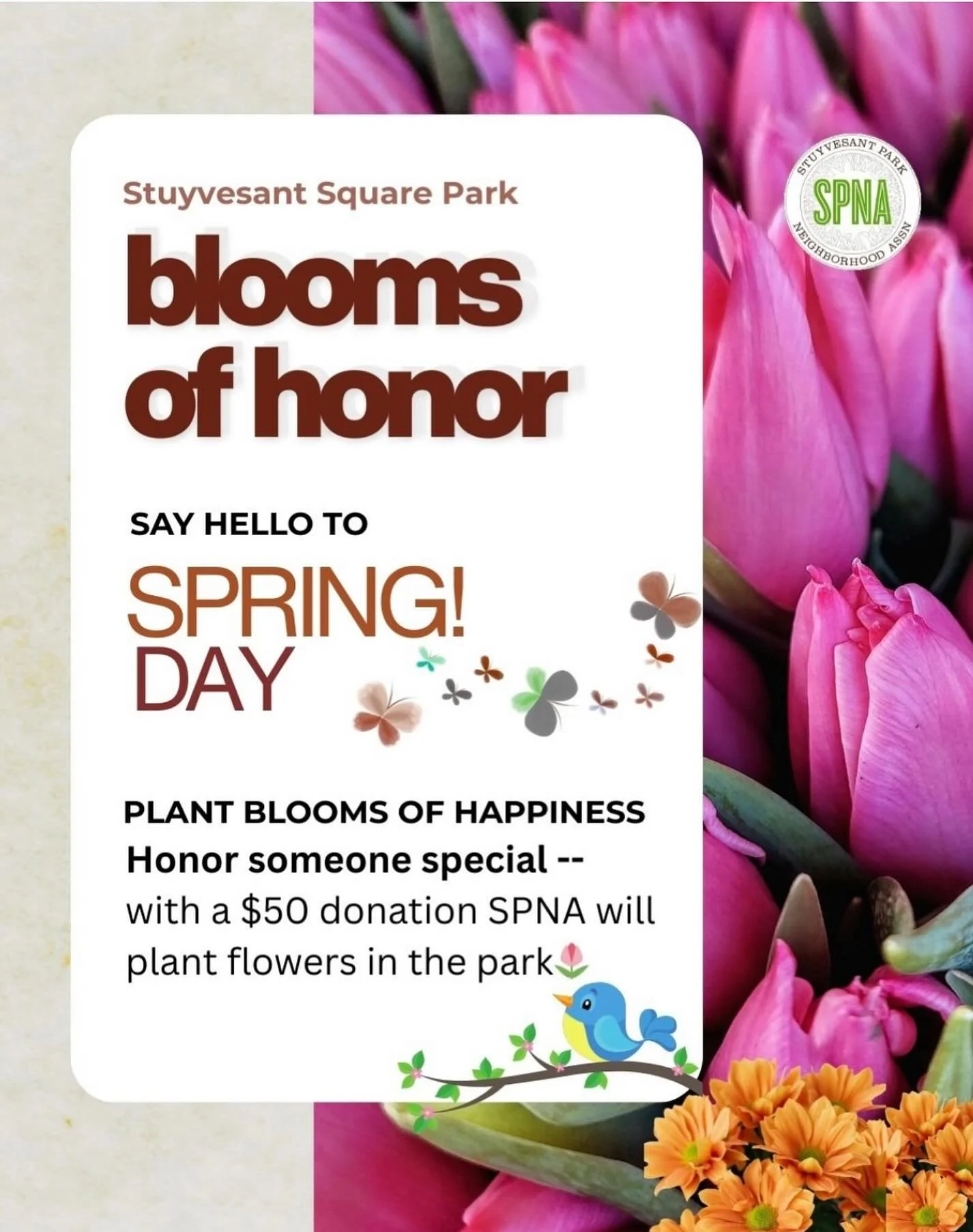 Celebrate someone special this Spring by planting flowers in their name, in Stuyvesant Square Park

When you make a minimum donation of $50 SPNA will plant your flowers in the park. 

You or the person you are honoring or celebrating  will receive a 
