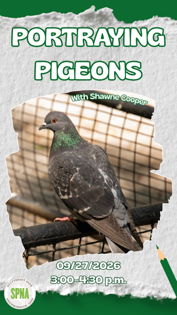 Creatures of New York: Portraying Pigeons