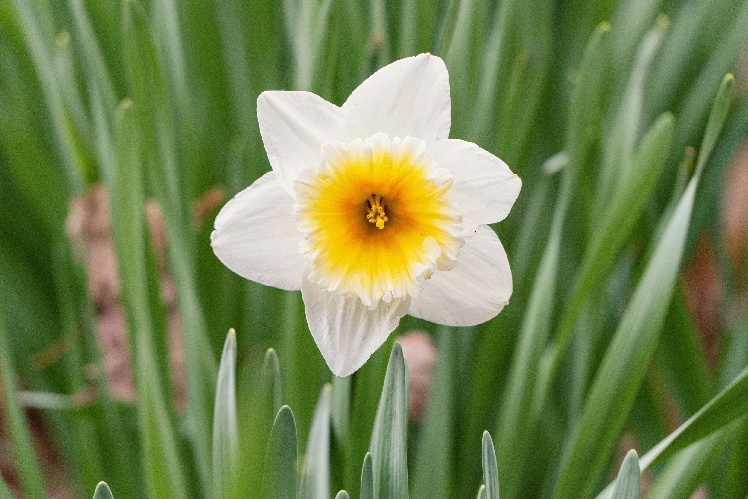 SPNA 2026-04-01 - 09.jpg