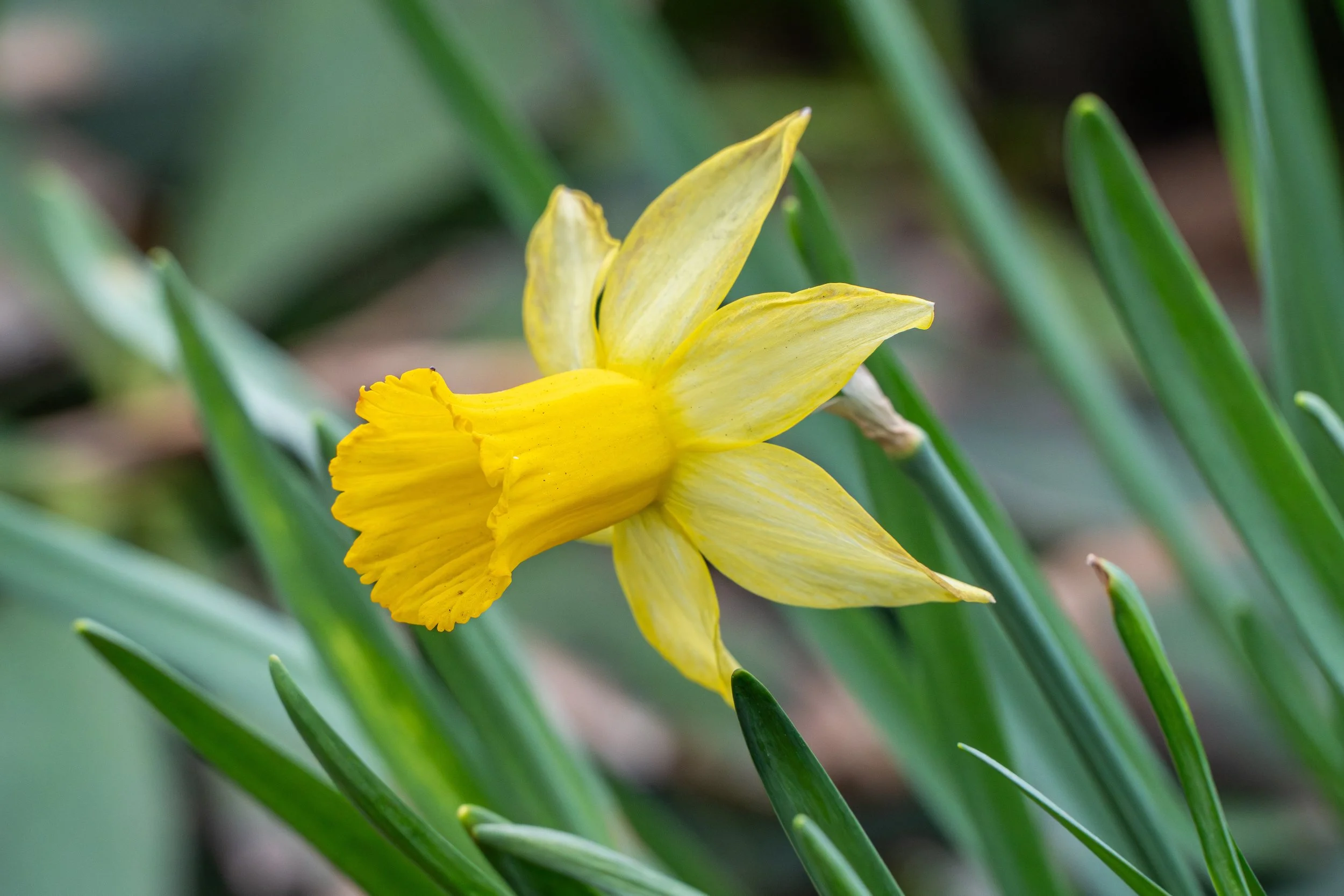 SPNA 2026-04-01 - 12.jpg