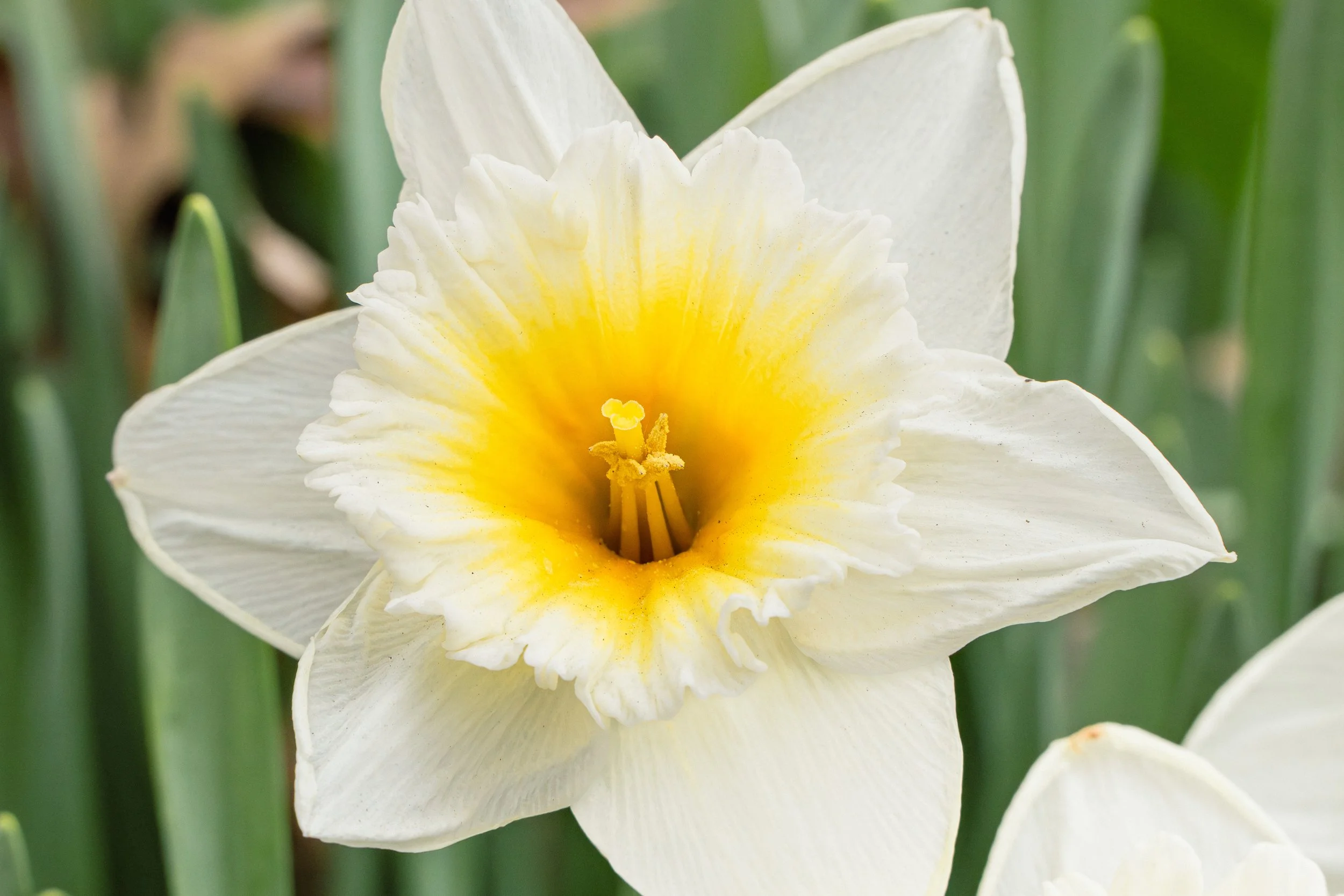 SPNA 2026-04-01 - 11.jpg