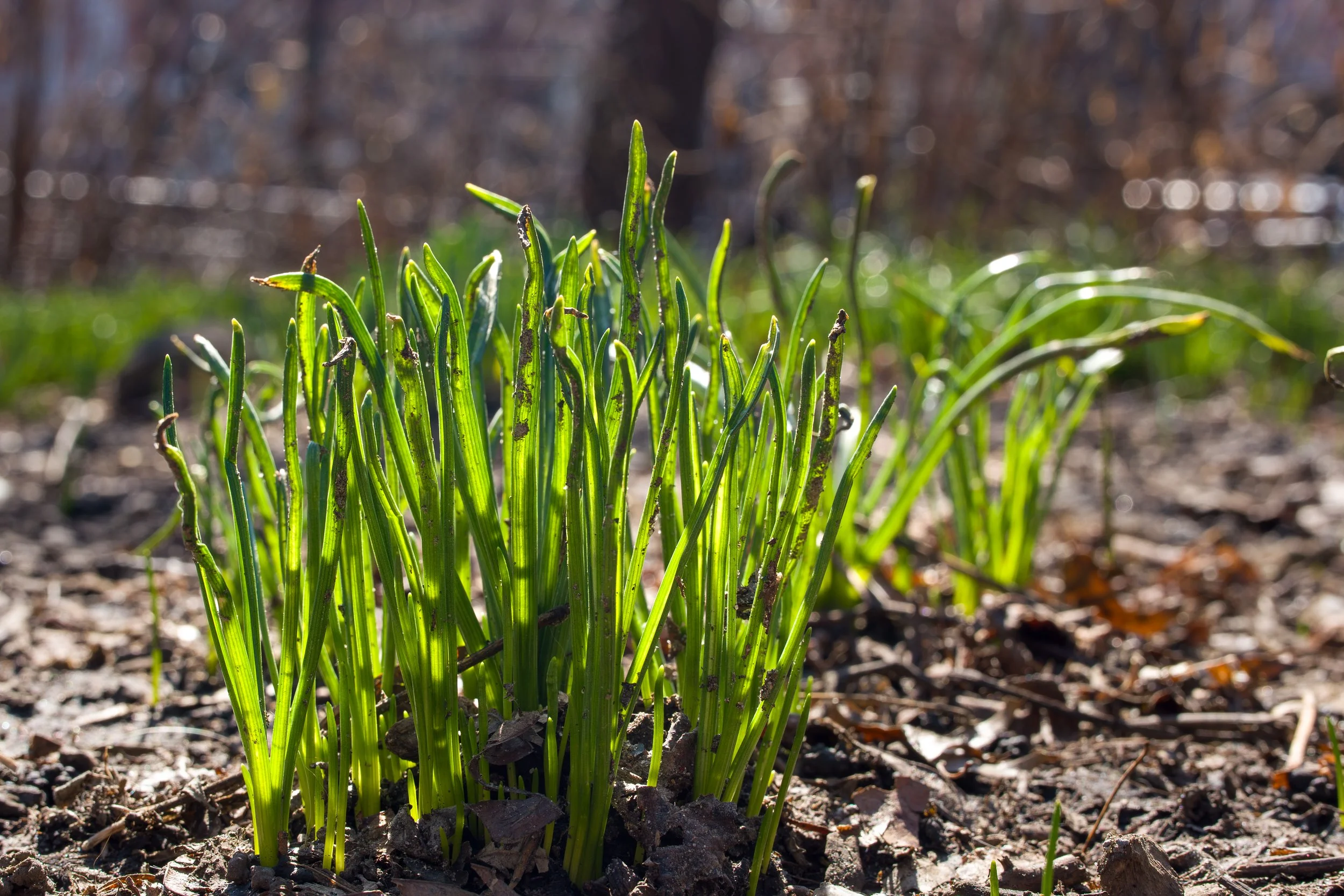 SPNA 2026-03-10 - 04.jpg