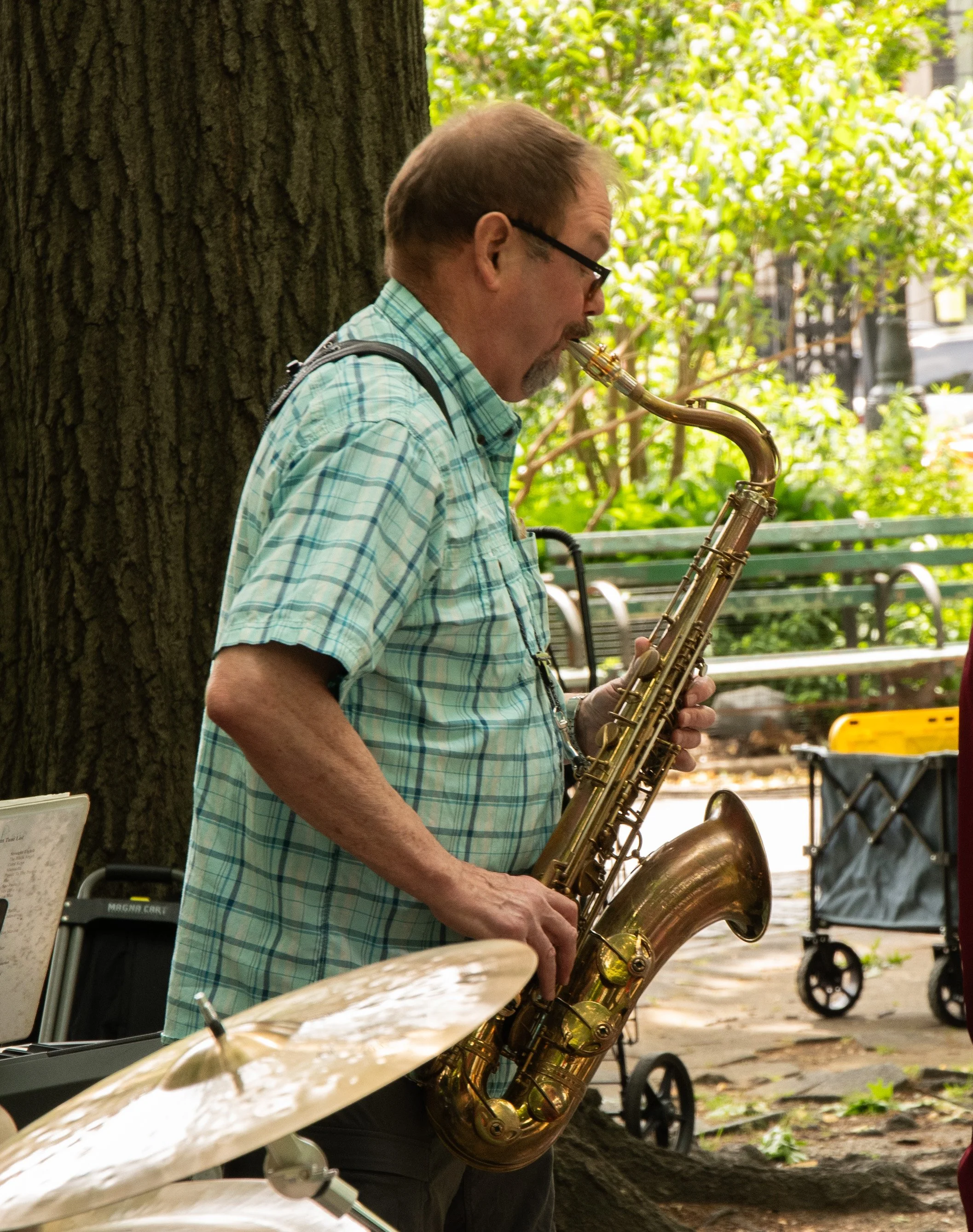 JazzNPark1-3.jpg