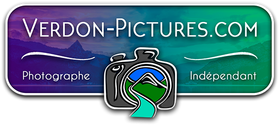 logo de Verdon Picture