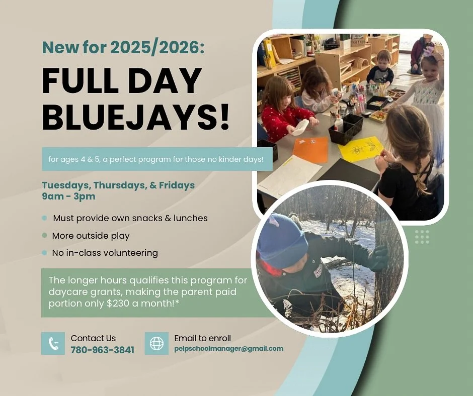 Introducing ✨ 

FULL DAY BLUEJAYS!

This full day class will be offered Tuesday, Thursday, &amp; Friday from 9am - 3pm for children ages 4 &amp; 5! This is the perfect class for those looking for extra programming on those days opposite of Kindergart