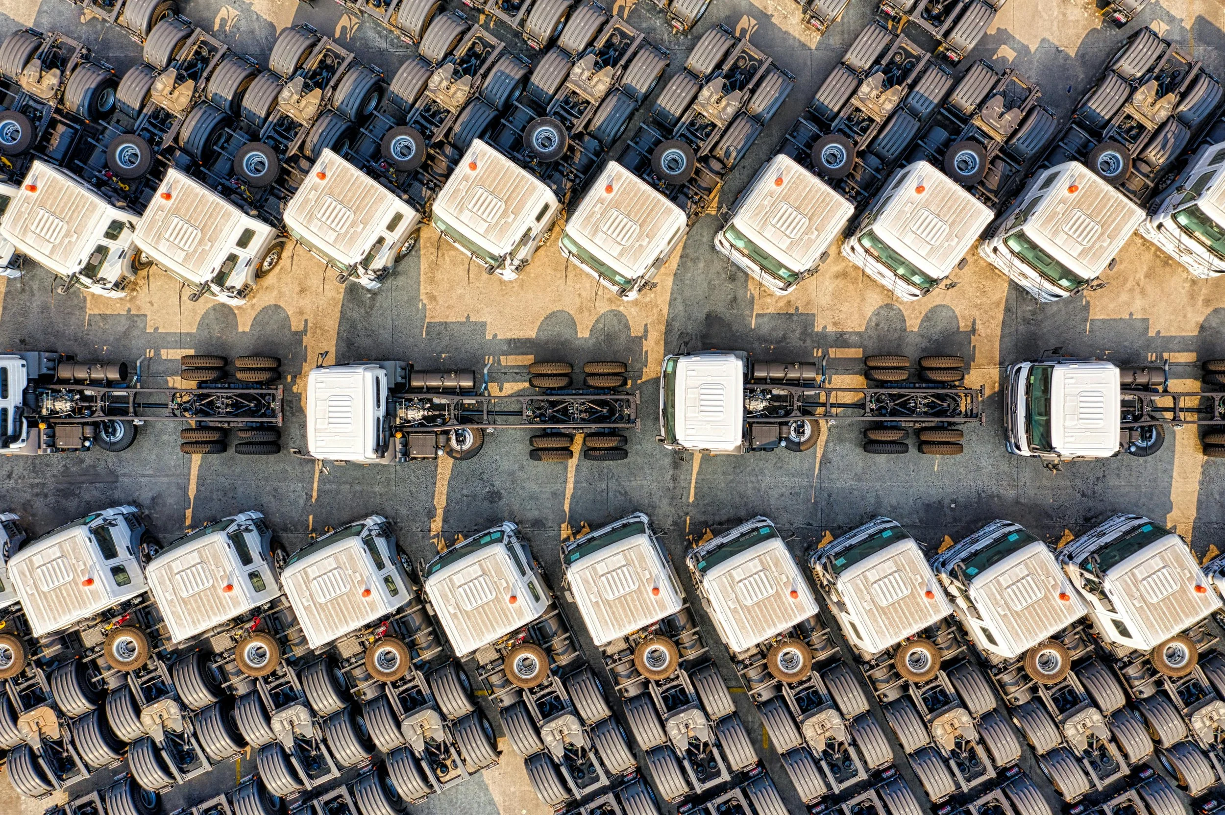 La I.A. está homogeneizando nuestros pensamientos