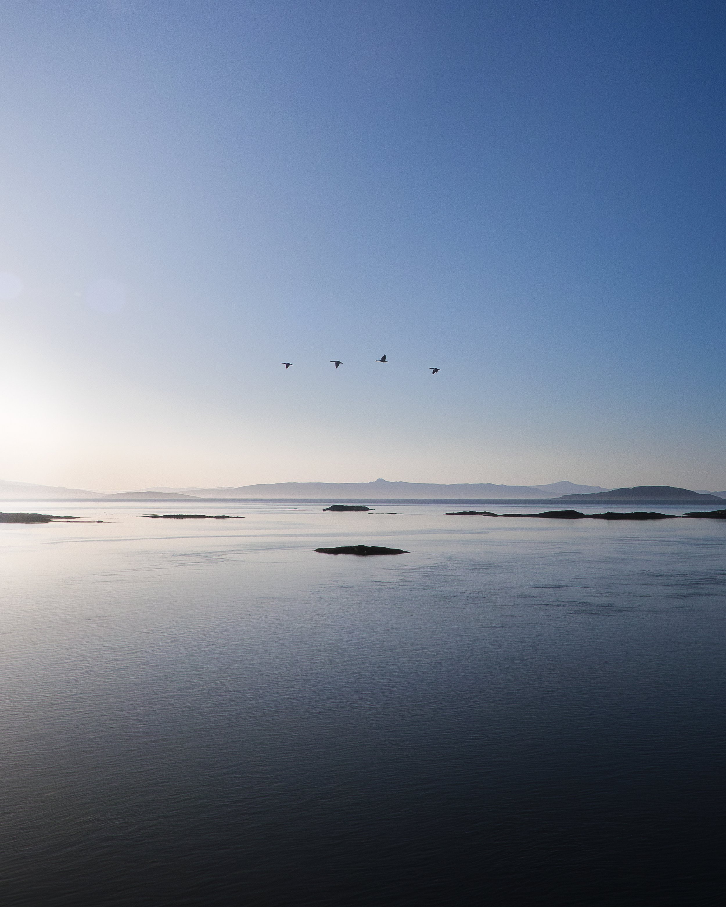 Calm ocean with small islands and a clear blue sky, five birds flying in formation.