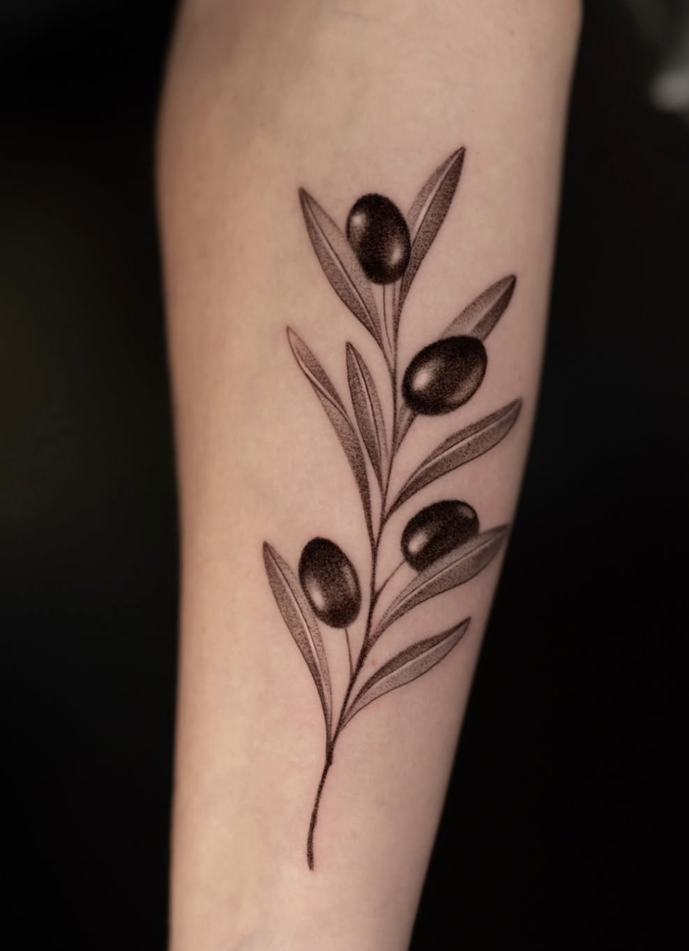Black ink tattoo of an olive branch with three olives and long, slender leaves on a person's arm.