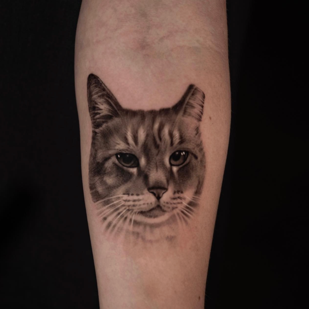 Realistic fine line cat tattoo by Brian Parrillo, pet portrait in Durham, NC