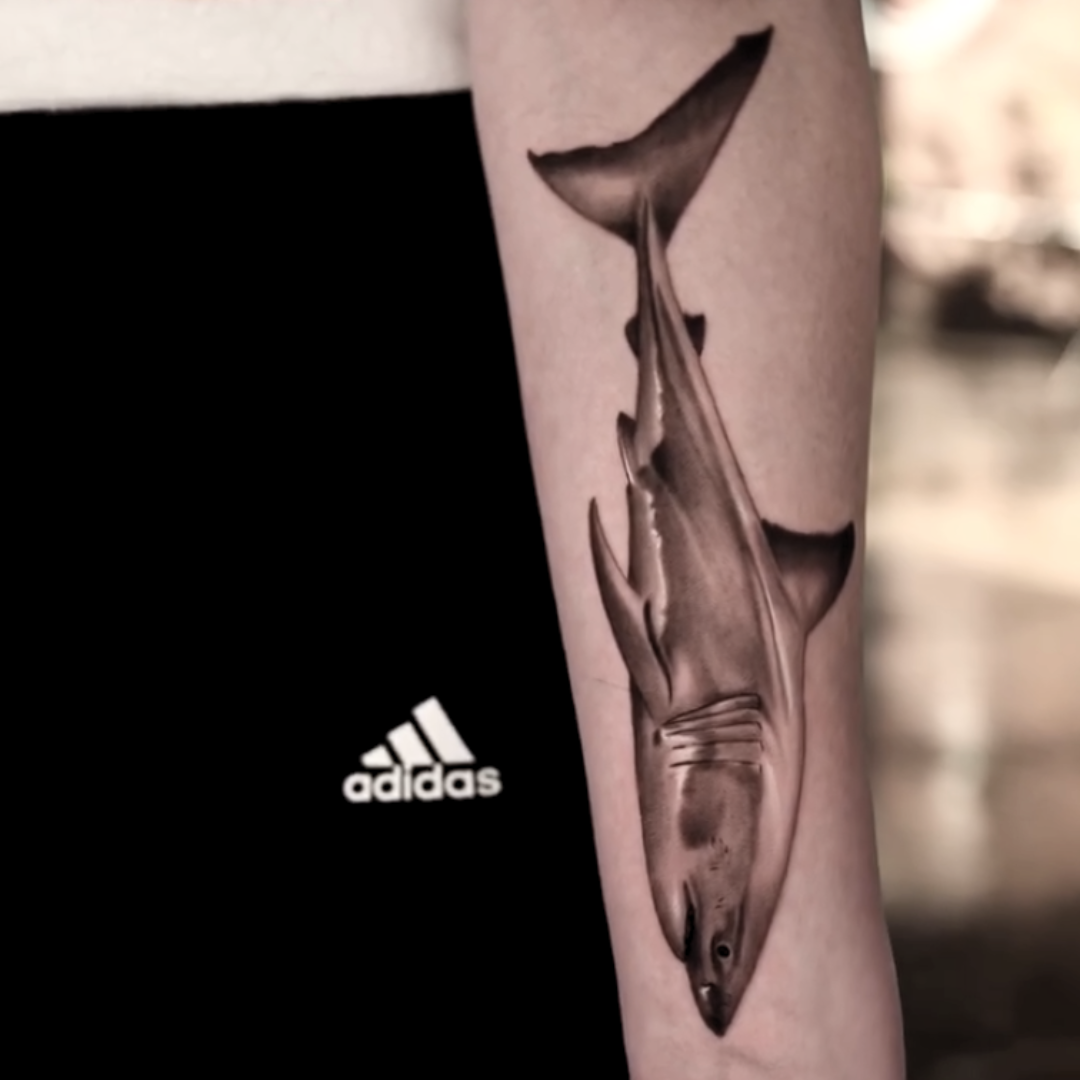 Realistic shark tattoo on forearm by Brian Parrillo, photorealism style in Durham, NC