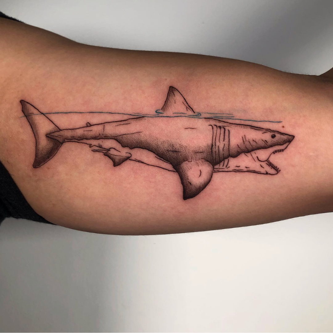 Illustrative fine line shark tattoo by Yasmin in Durham, NC