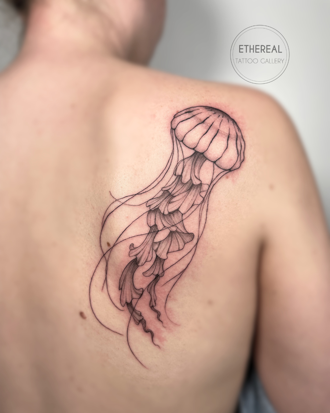 Fine Line Illustrative Jellyfish Tattoo in Durham, NC