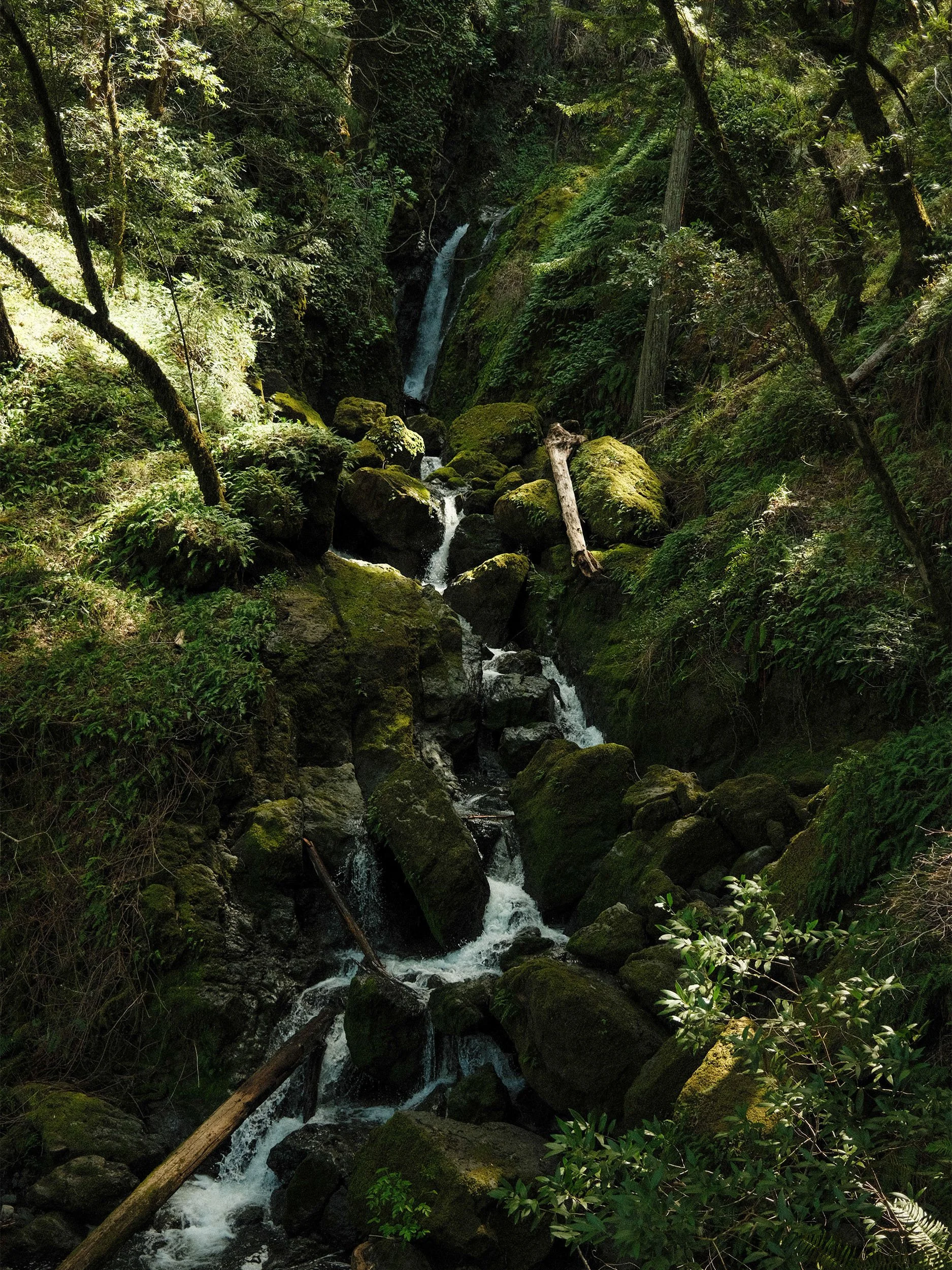 A small waterfall flowing through moss-covered rocks in a green forest.