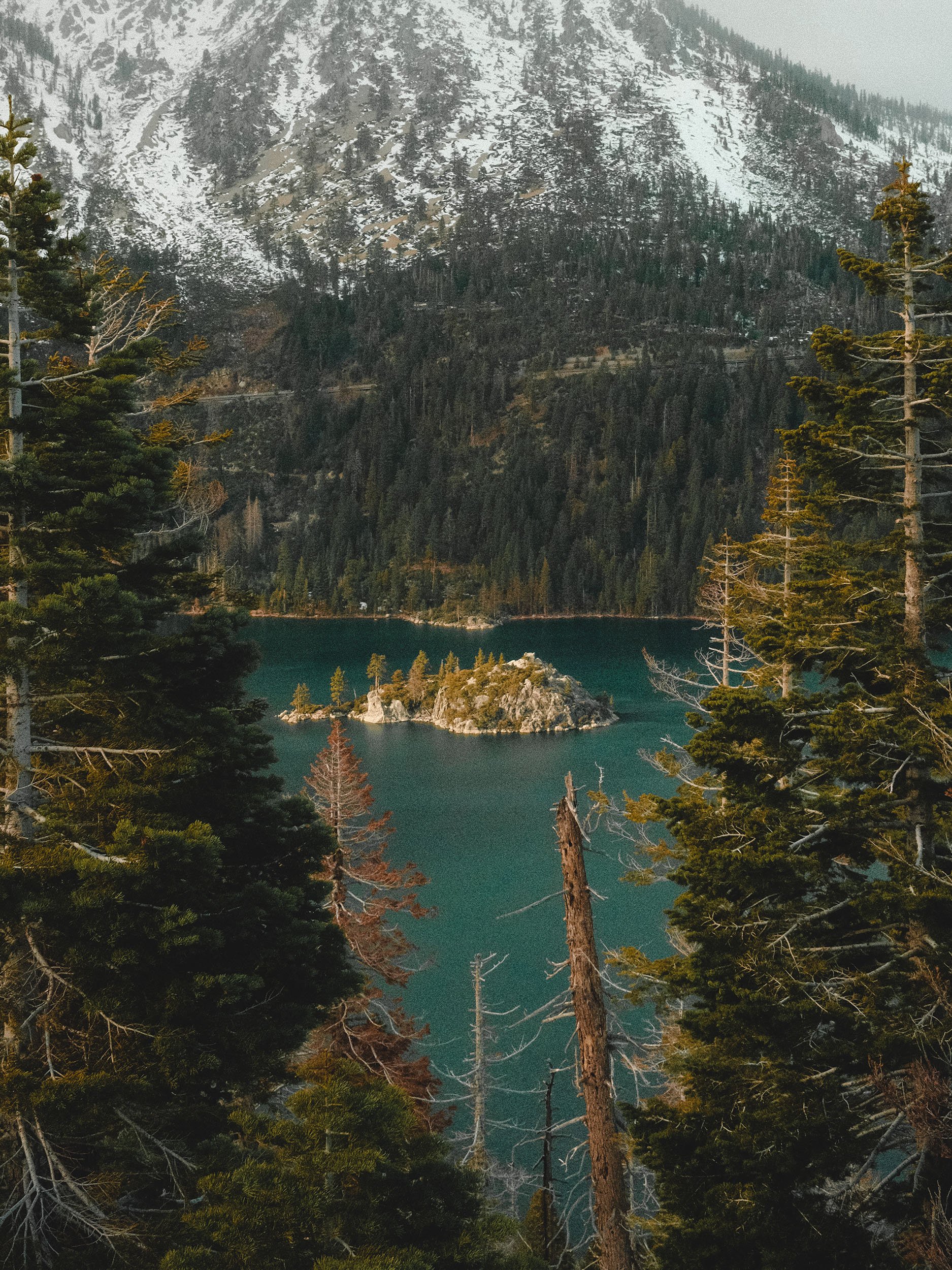 View Emerald Bay in Lake Tahoe, California with snow on top of the mountains, a dense forest of evergreens on the slopes, and the lake with an island in the foreground, framed by pine trees.