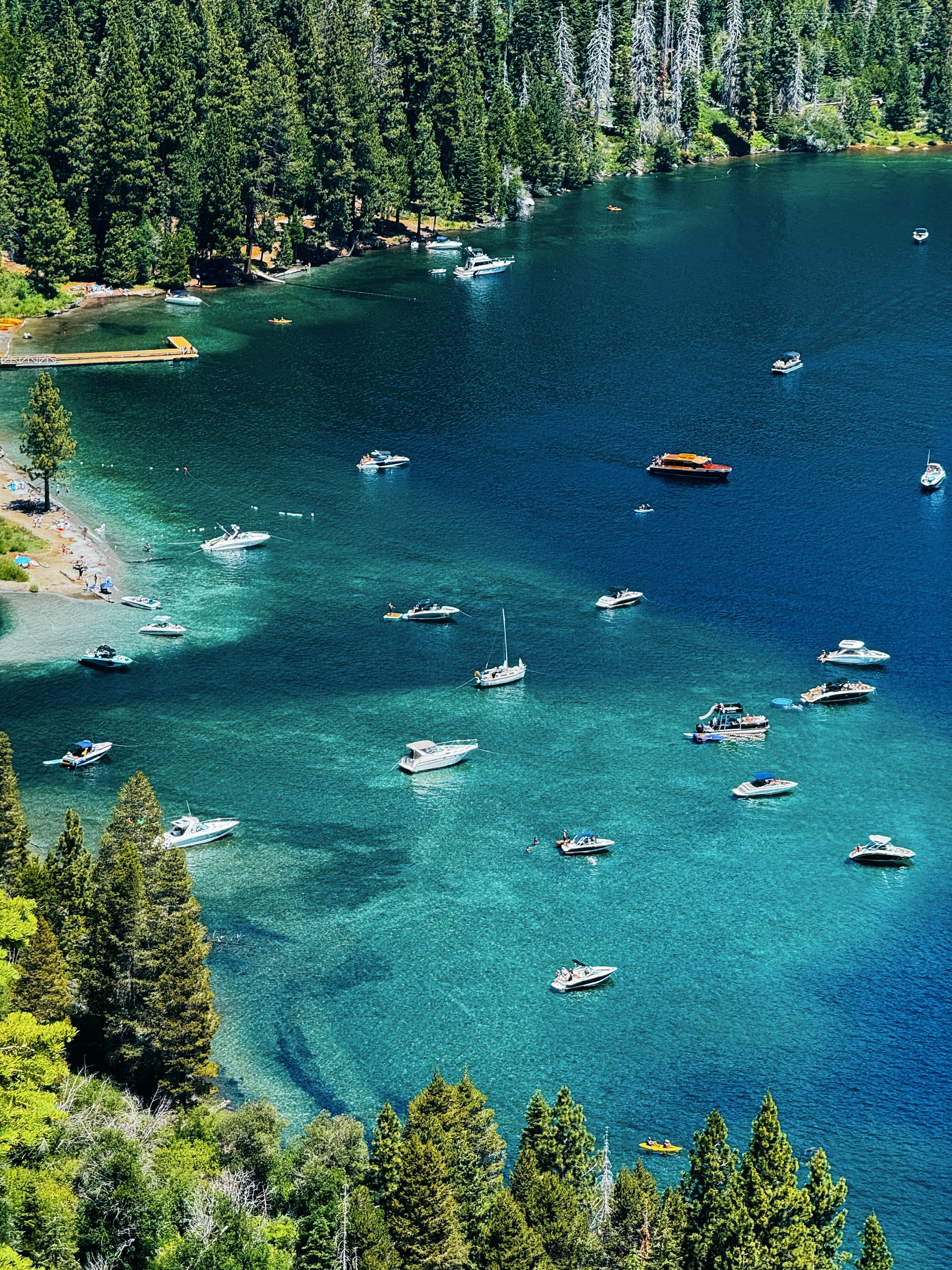 Aerial view of a lake with several boats and yachts, surrounded by dense green forest and trees along the shoreline.