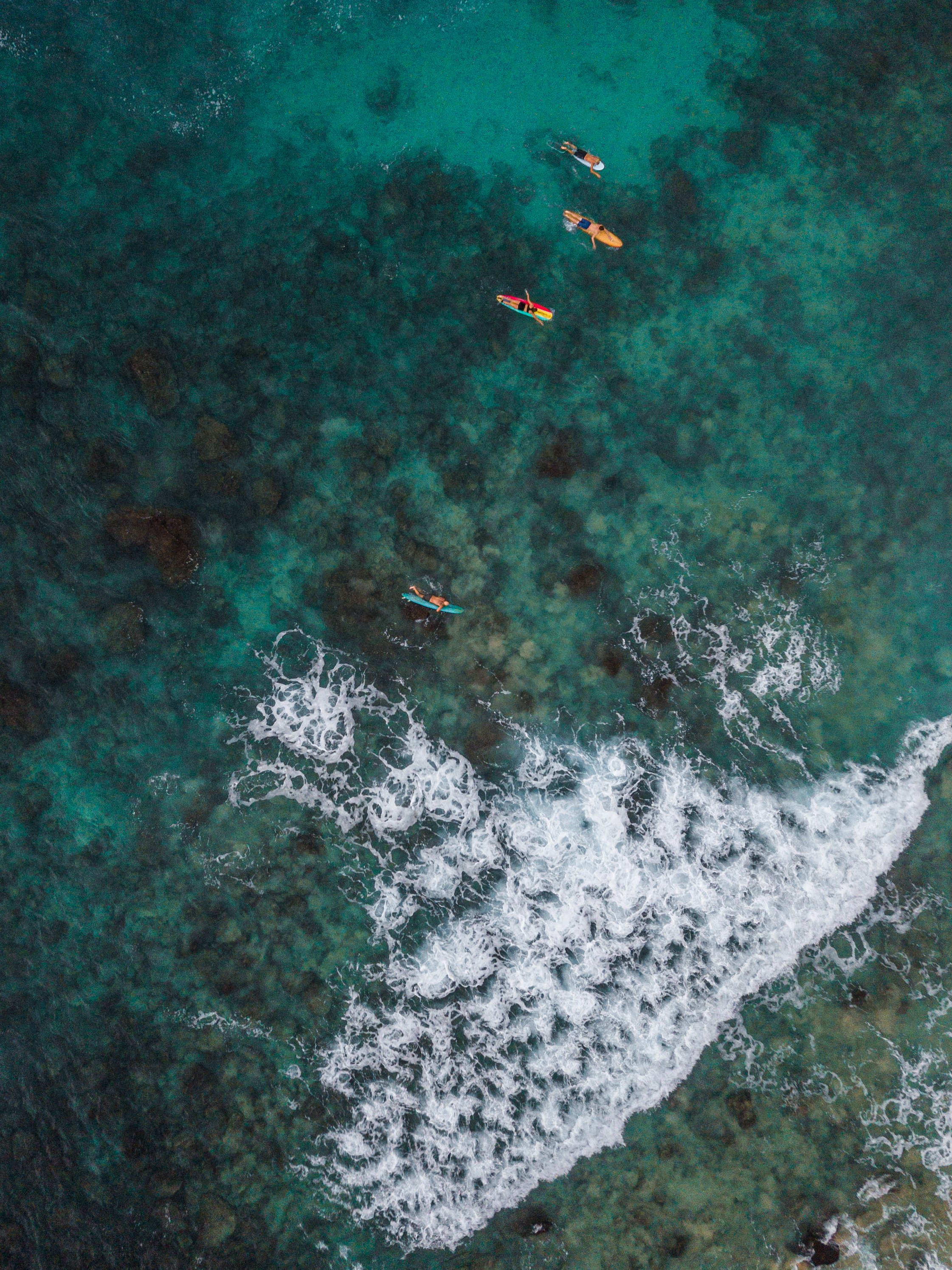Aerial view of five surfers on surfboards in clear tropical water near a rocky shoreline with white waves.