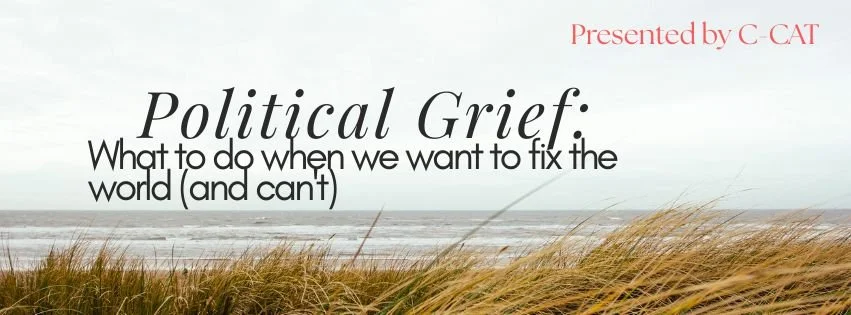 Political Grief (virtual)