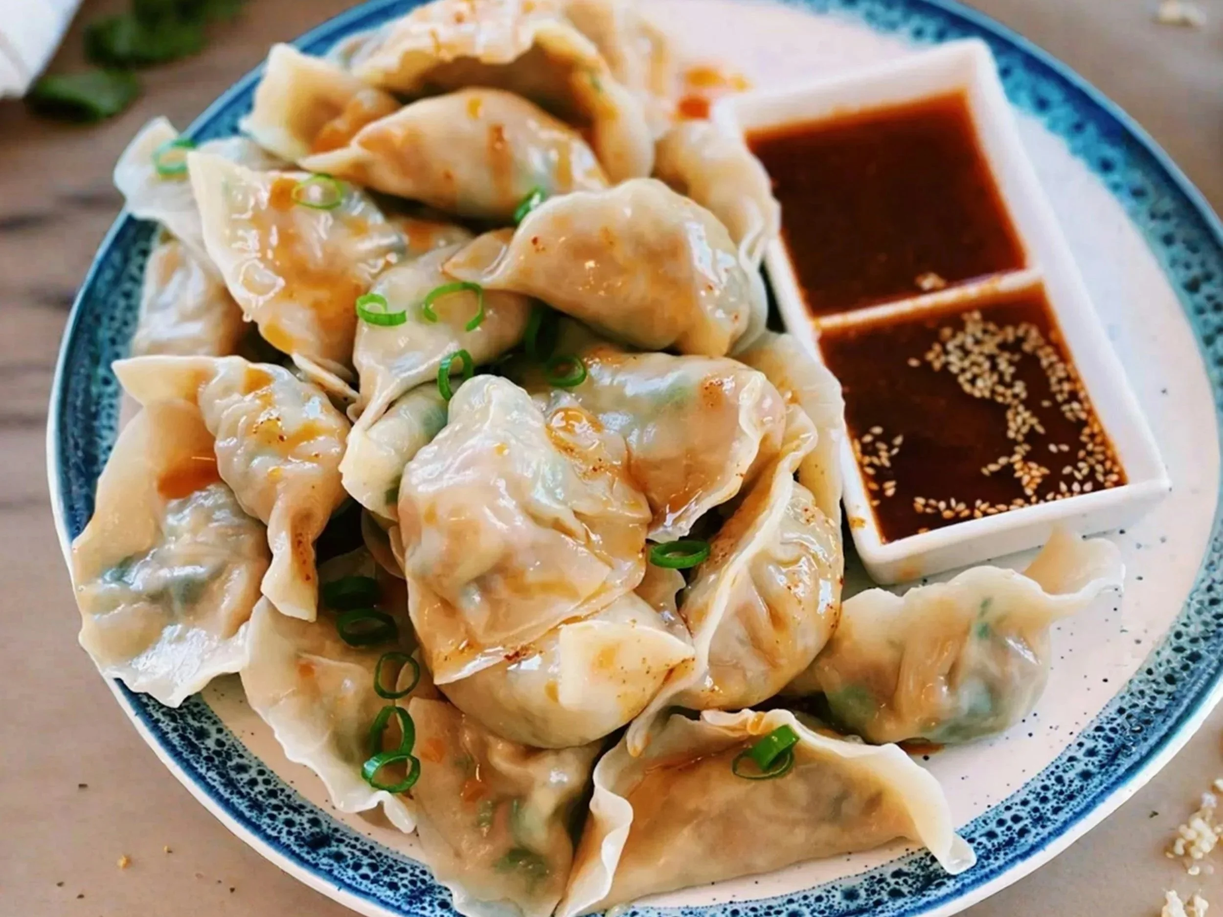 Michi Yakuzen Tofu Dumping ( 薬膳豆腐餃子)