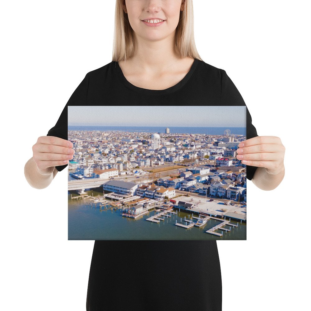 canvas-(in)-12x16-person-67c4cc6f3fef1.jpg