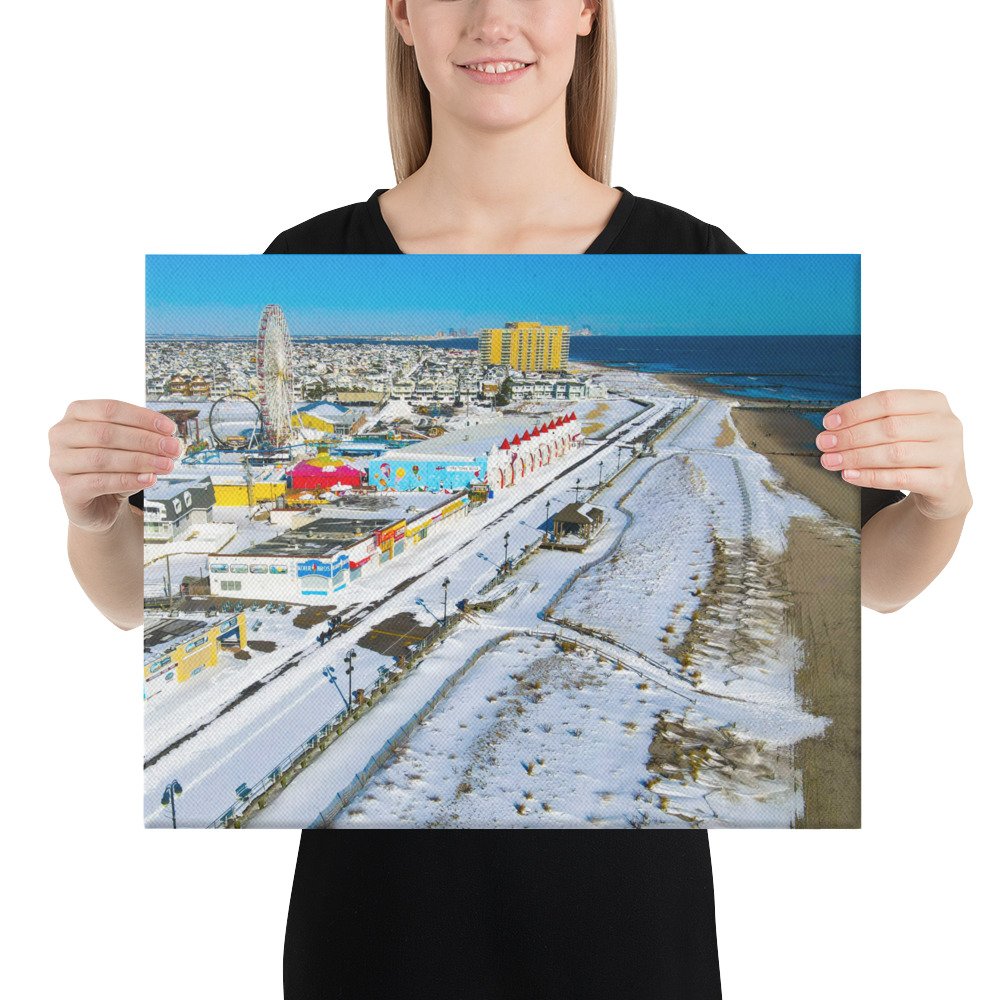 canvas-(in)-16x20-person-67c4d1fb31da8.jpg