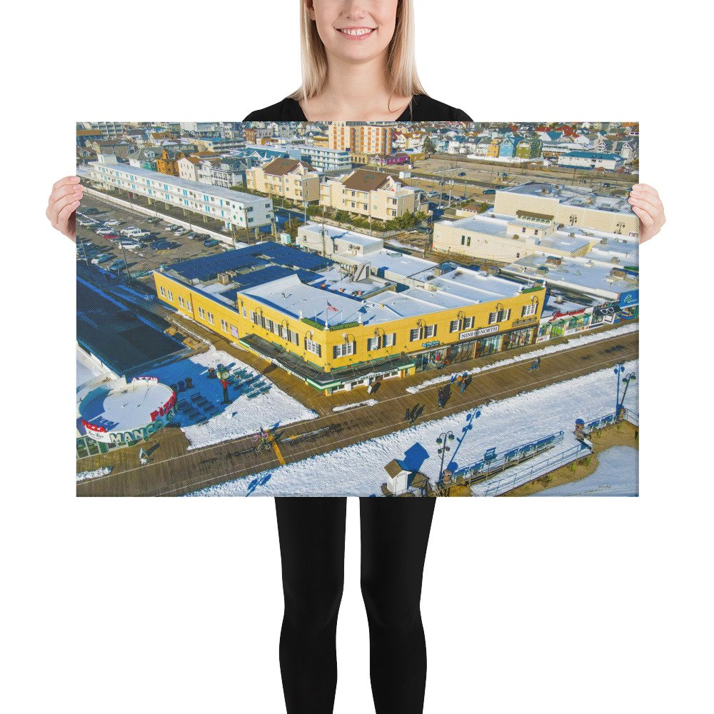 canvas-(in)-24x36-person-67c4d3922d514.jpg