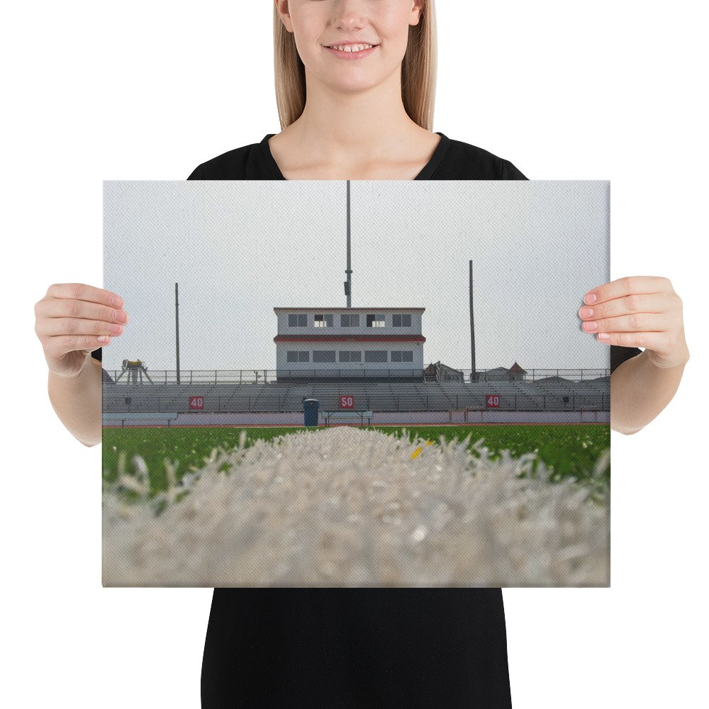 canvas-(in)-16x20-person-67c4ddd179012.jpg