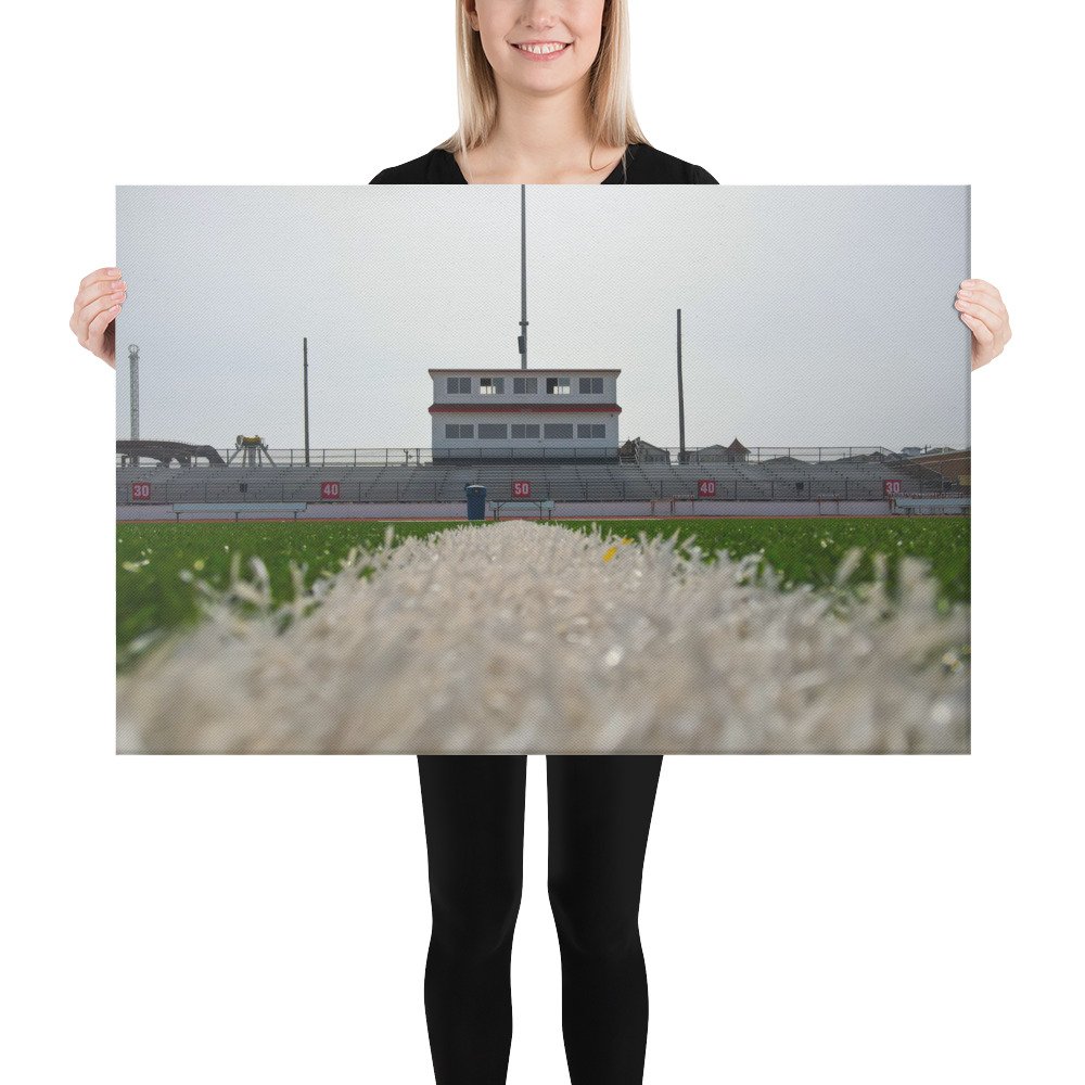 canvas-(in)-24x36-person-67c4ddd179816.jpg