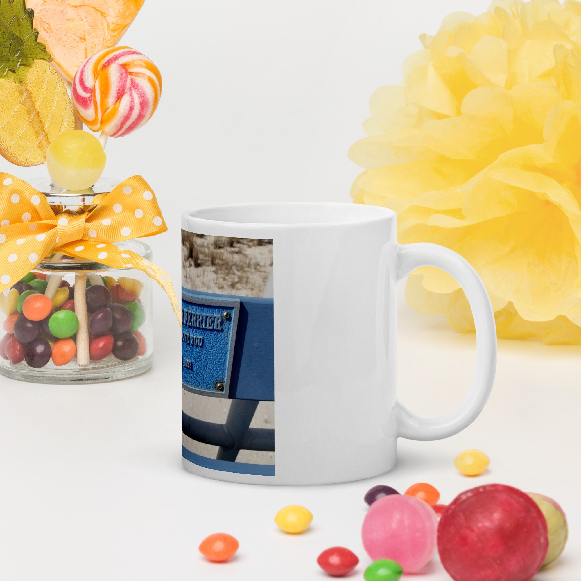white-glossy-mug-white-11-oz-handle-on-right-67f9b5b7aacd7.jpg