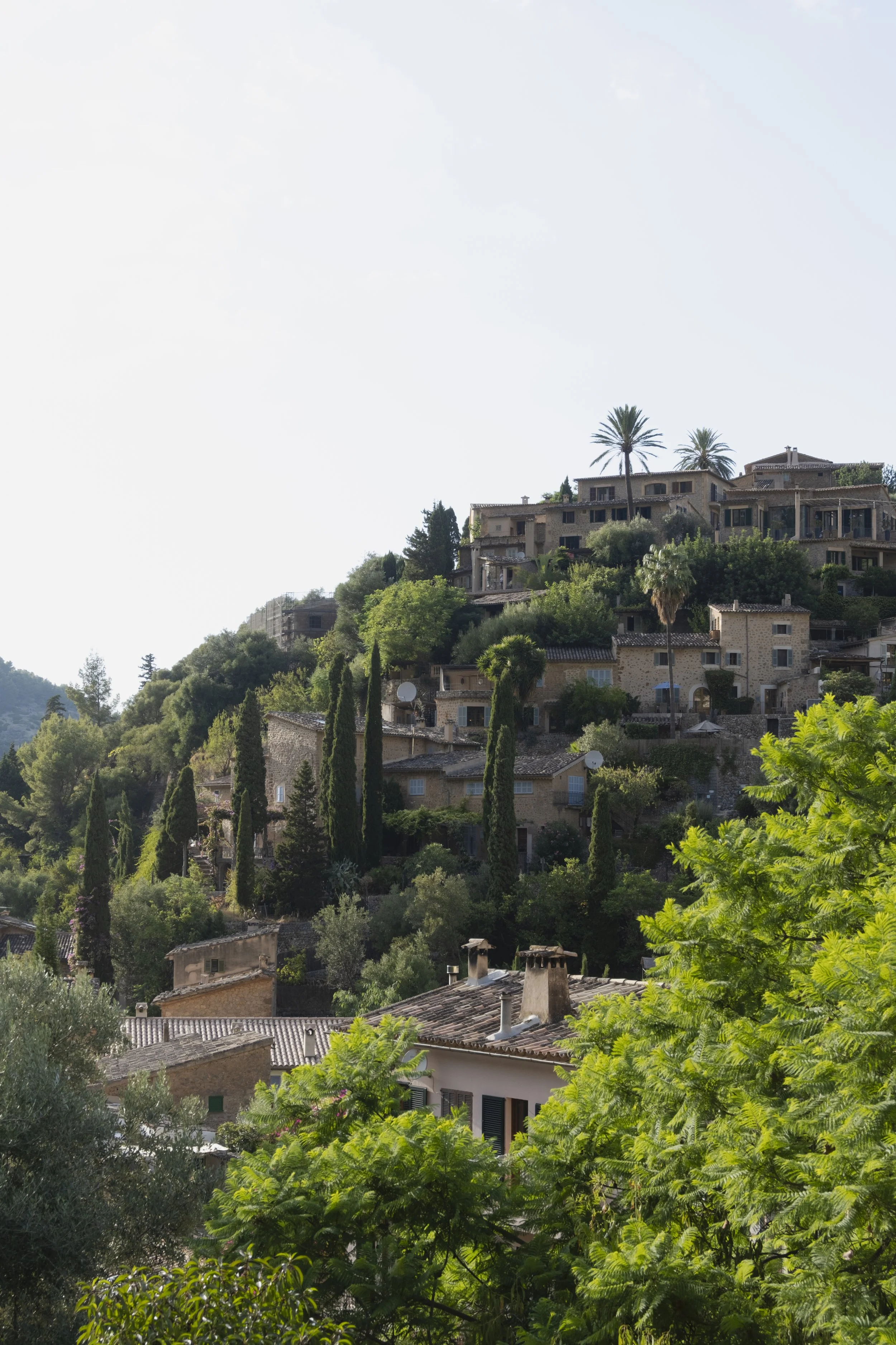 Mallorca Selects-58.jpg