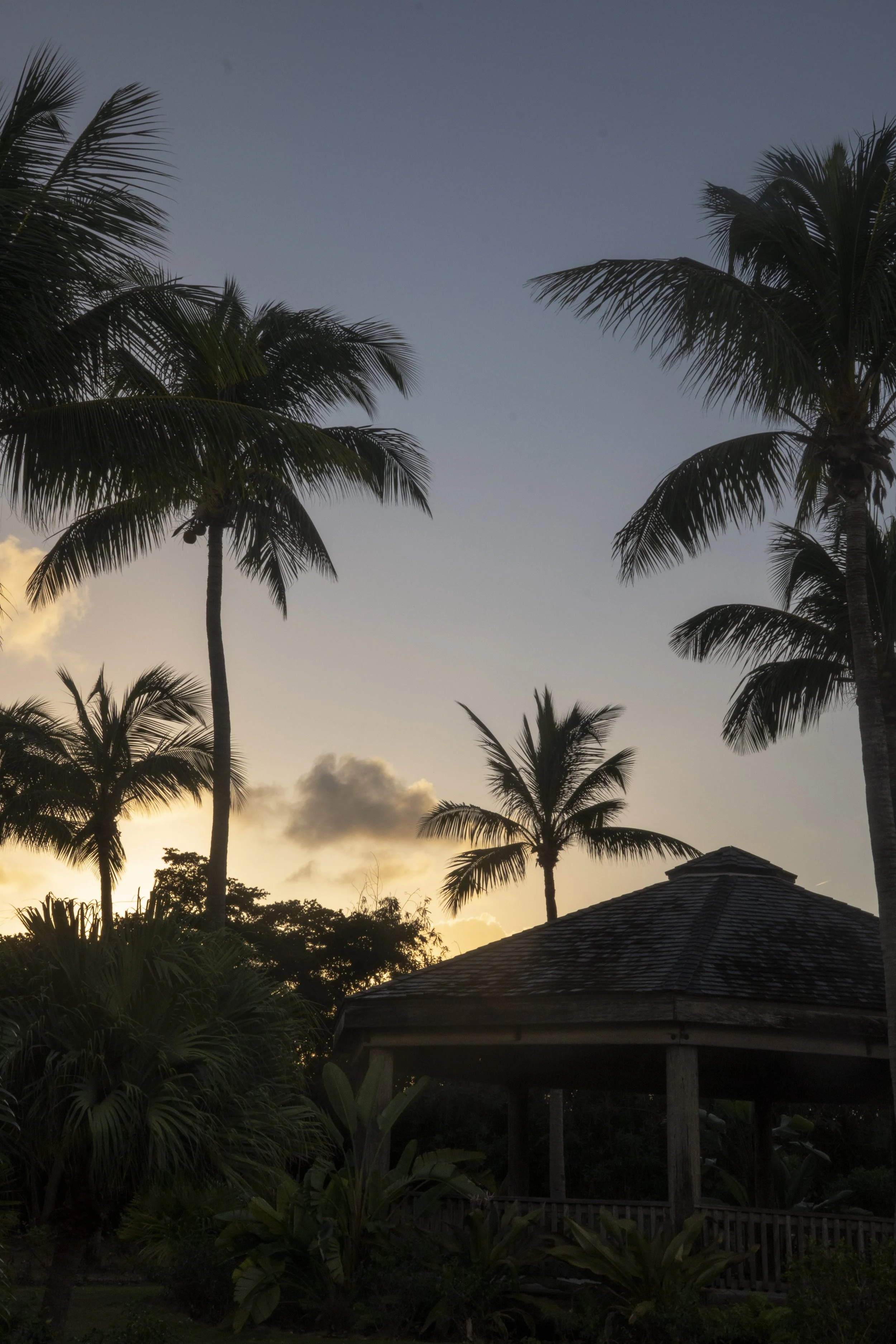 Anguilla Selects-3.jpg