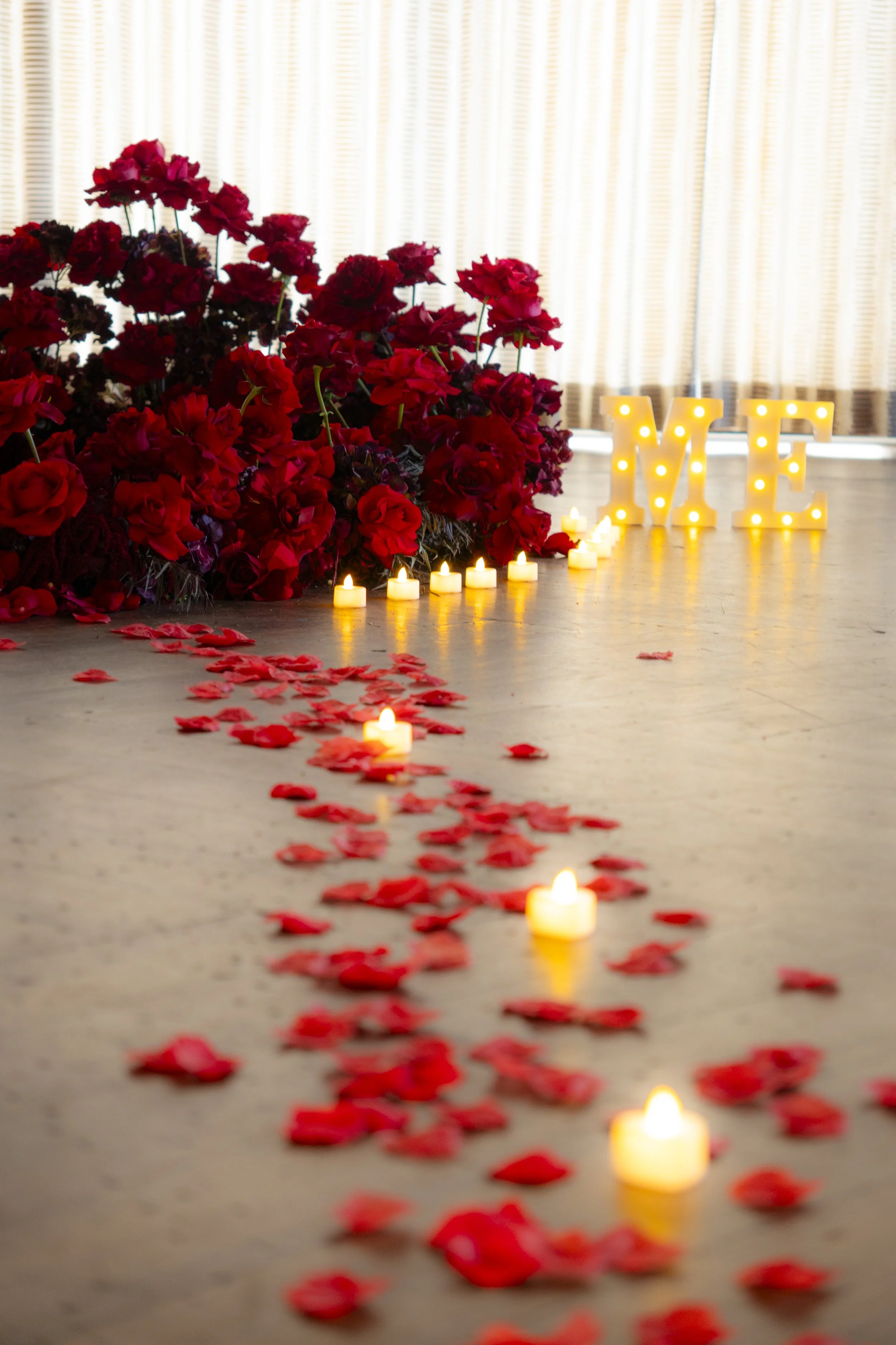 Alex & Dory Selects-7.jpg