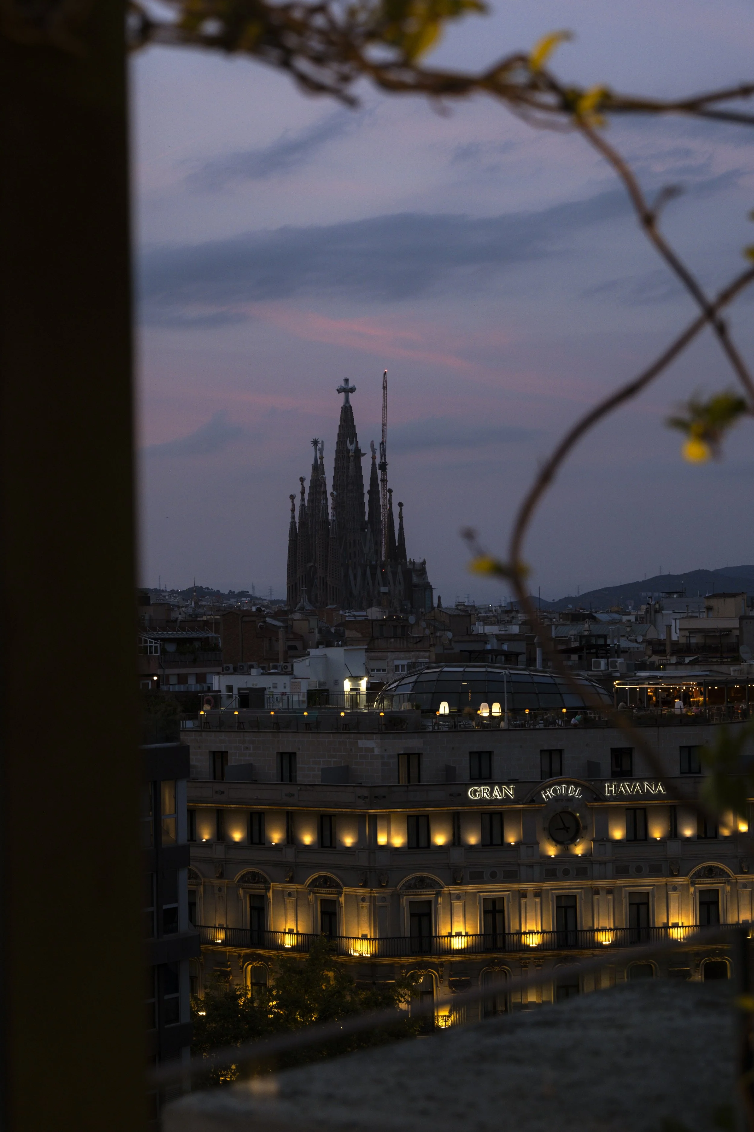 Barcelona Selects-19.jpeg