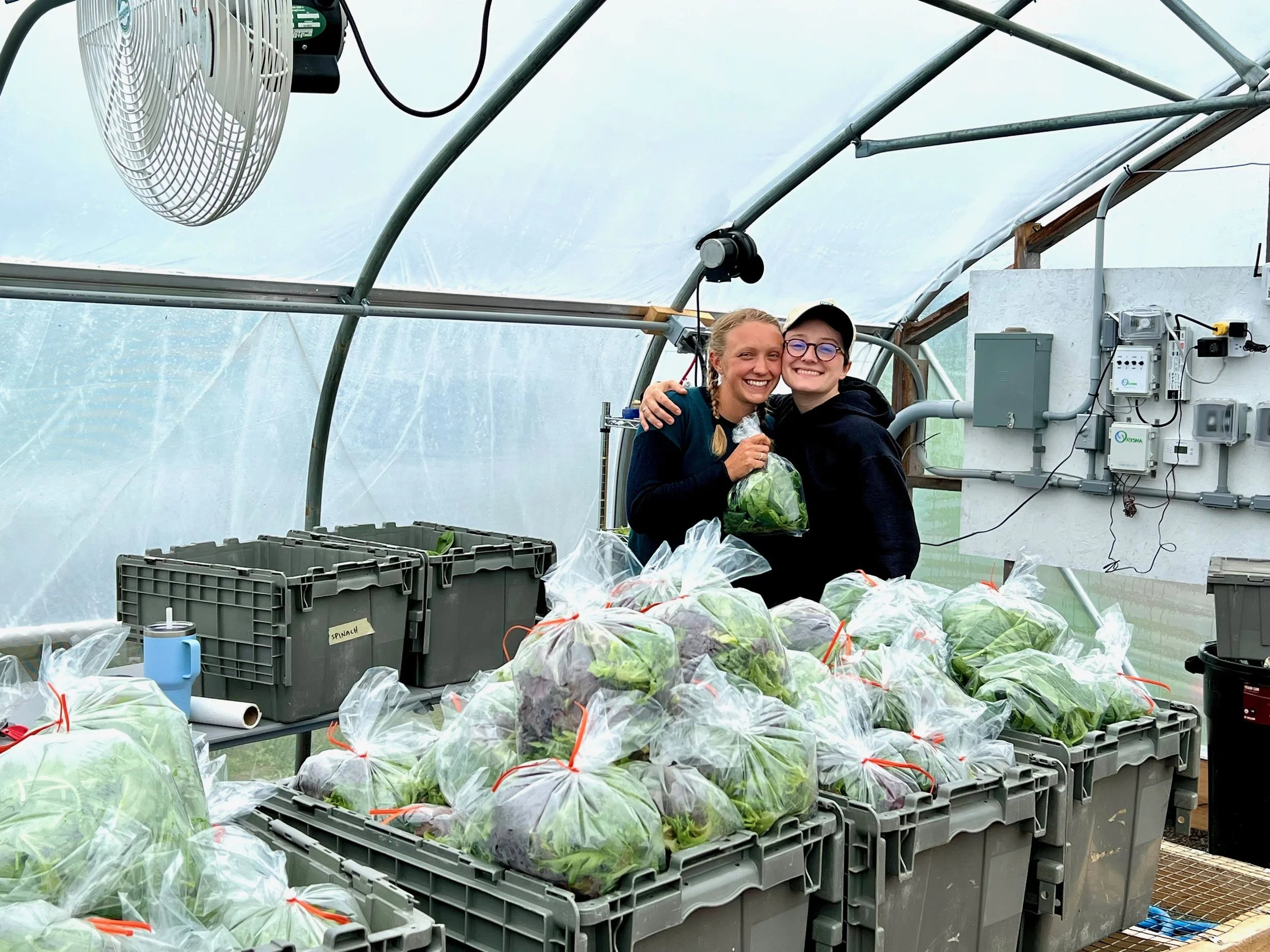 Two women inside a greenhouse surrounded by numerous plastic bags filled with greens, smiling and hugging each other.