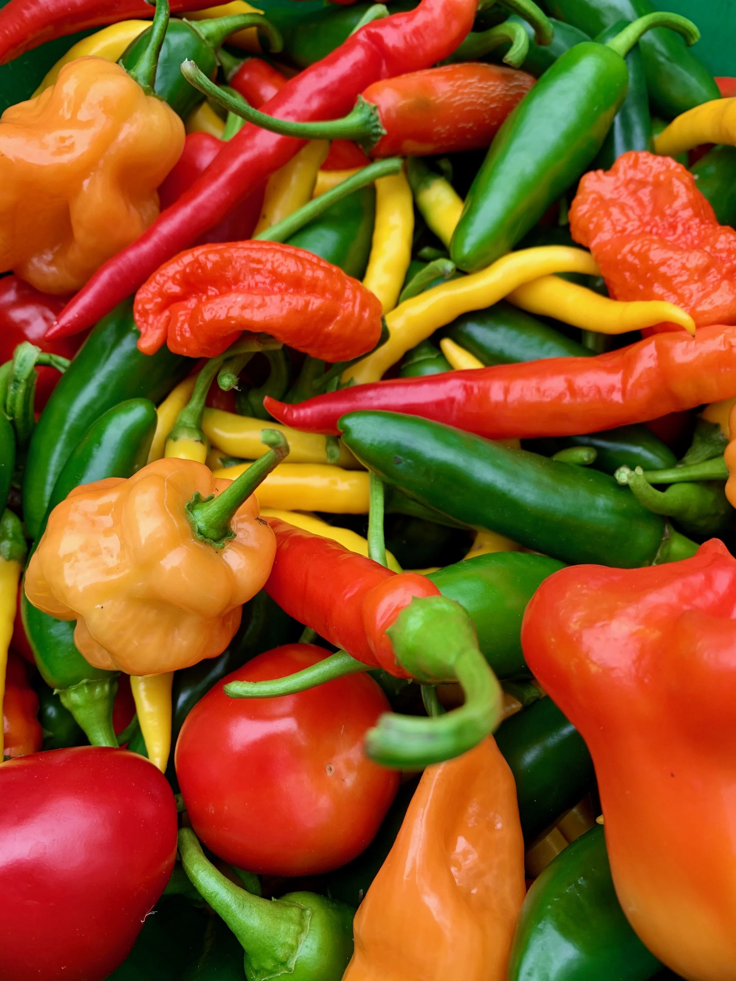 A variety of colorful chili peppers, including red, yellow, orange, and green, piled together.