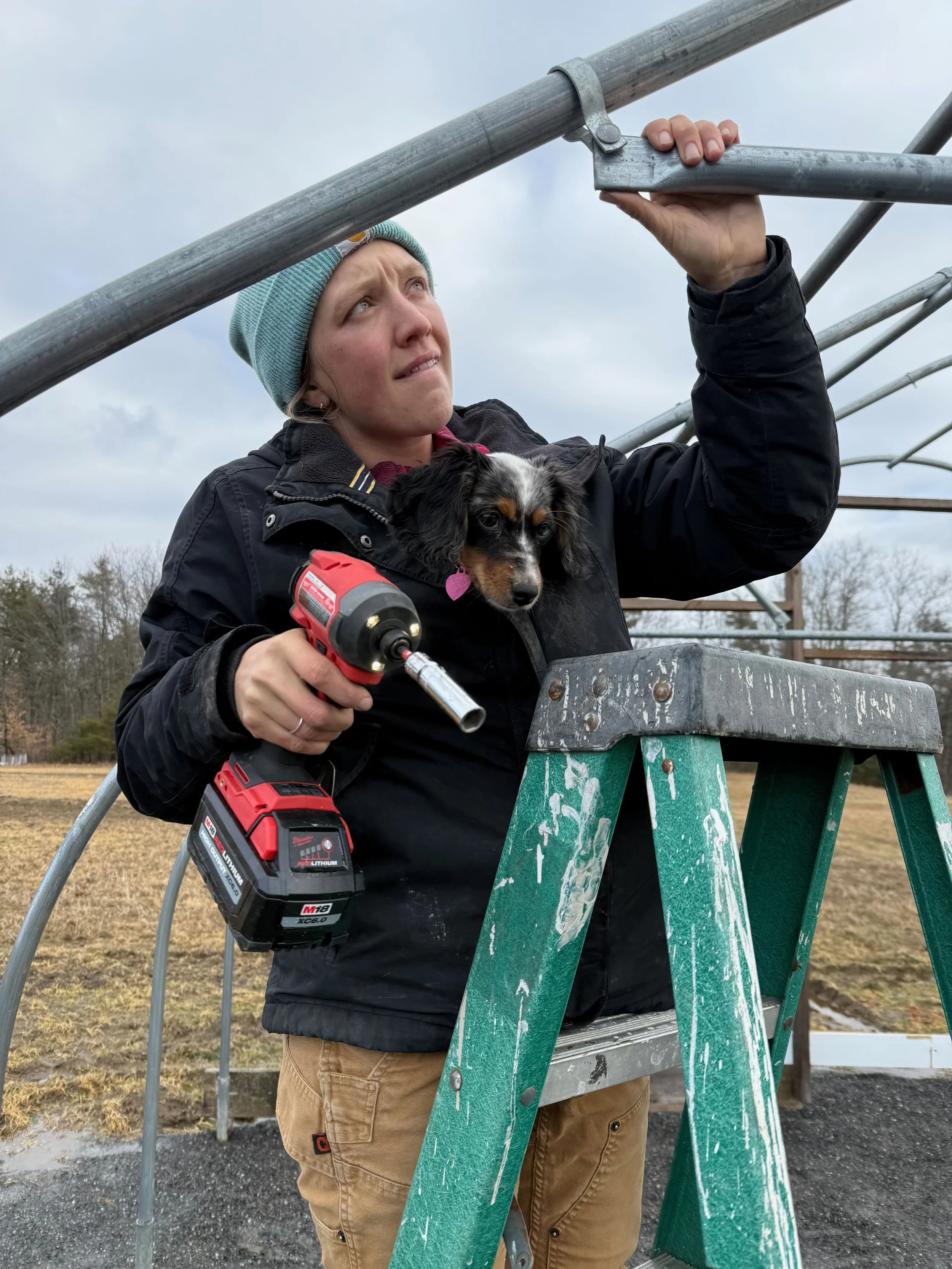A woman wearing a blue beanie and black jacket stands on a ladder, fixing a metal structure, while holding a small black and tan puppy and a red cordless drill.