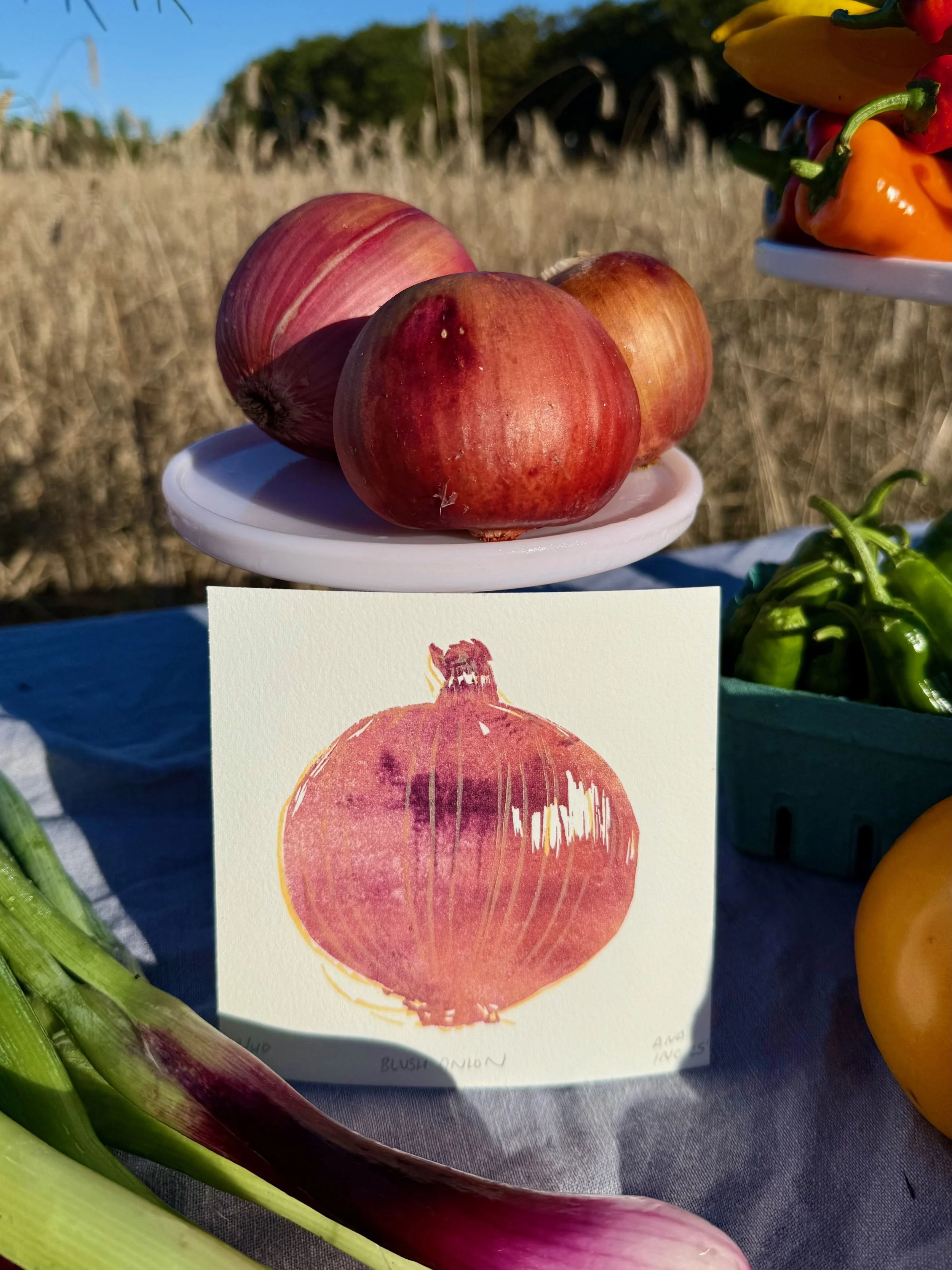 Close-up of red onions on a small white plate at an outdoor farmers market, with a watercolor illustration of an onion on a card in front.