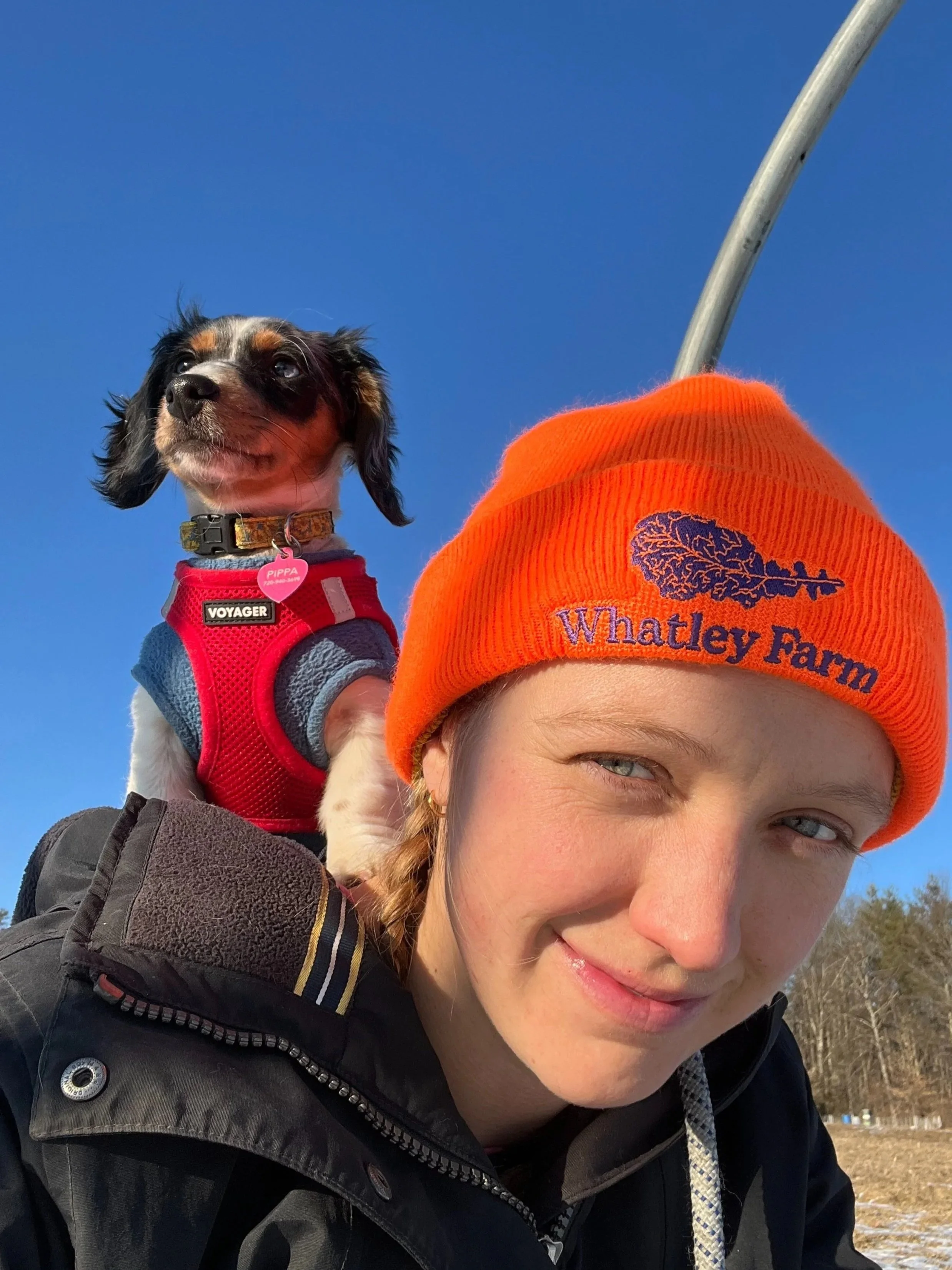 A woman with blonde hair (braided) wearing an orange beanie with 'Whatley Farm' logo and a black jacket. She is holding a small black, white, and tan dog in a red harness with a pink tag, on her shoulder outdoors. The background is clear blue sky, and some trees are visible in the distance.