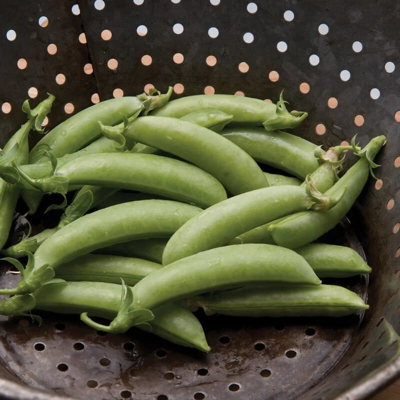 Fresh snap peas in a colander.