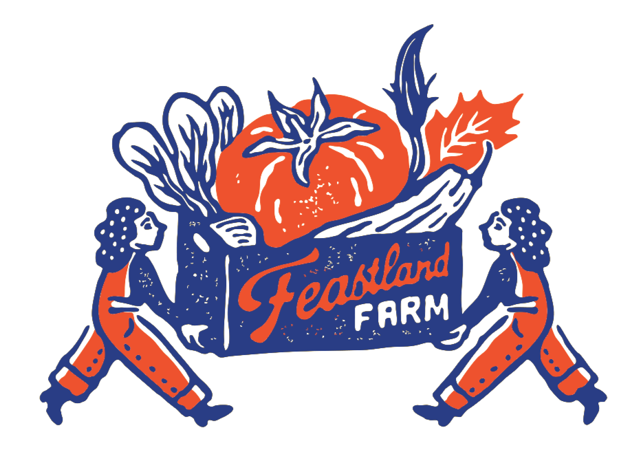 Illustration of two children holding a crate with a pumpkin and vegetables, with the text "Fearland Farm".