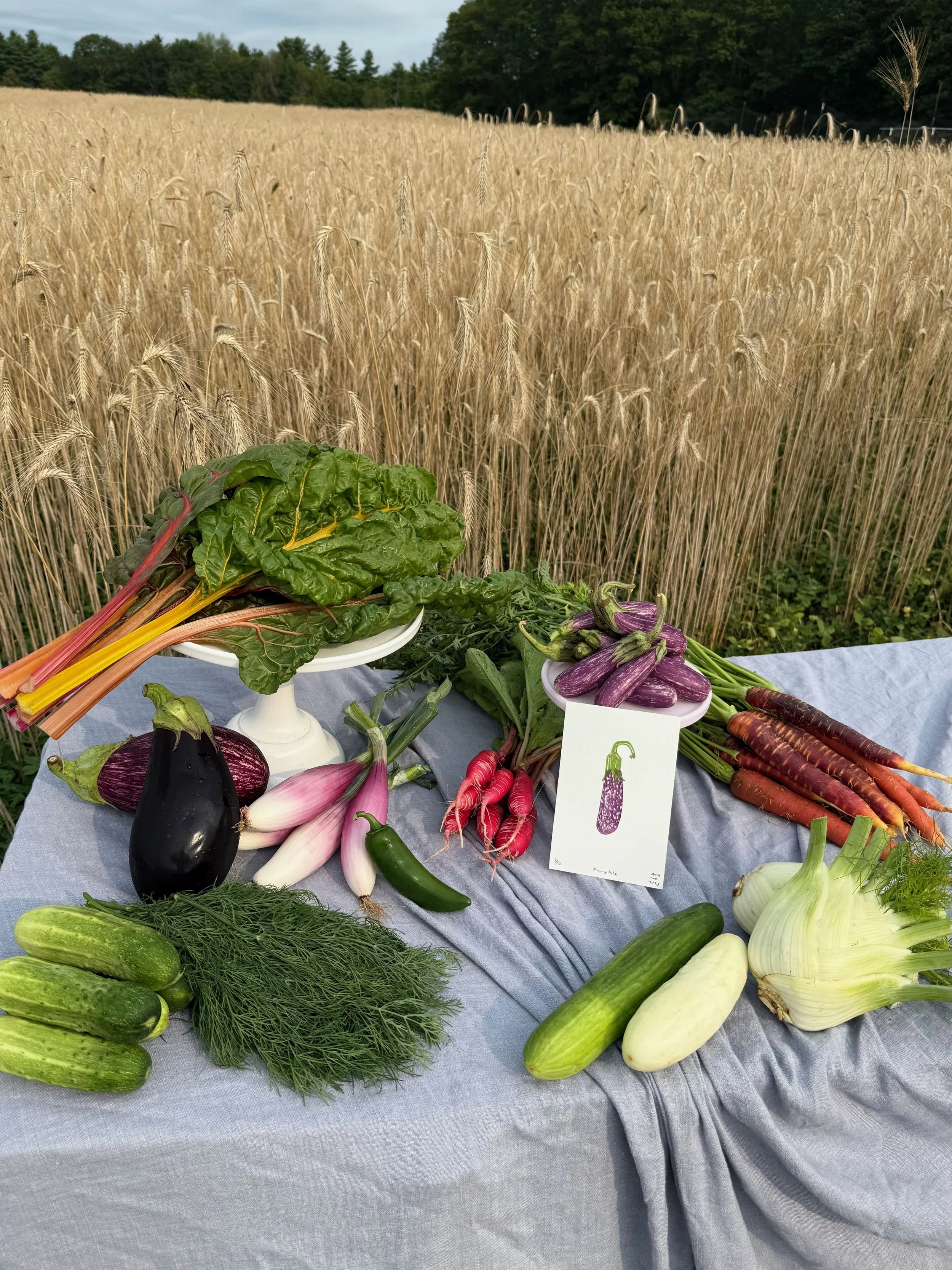 Fresh vegetables including Swiss chard, eggplants, radishes, cucumbers, zucchini, fennel, and carrots displayed on a table outdoors with a wheat field in the background.