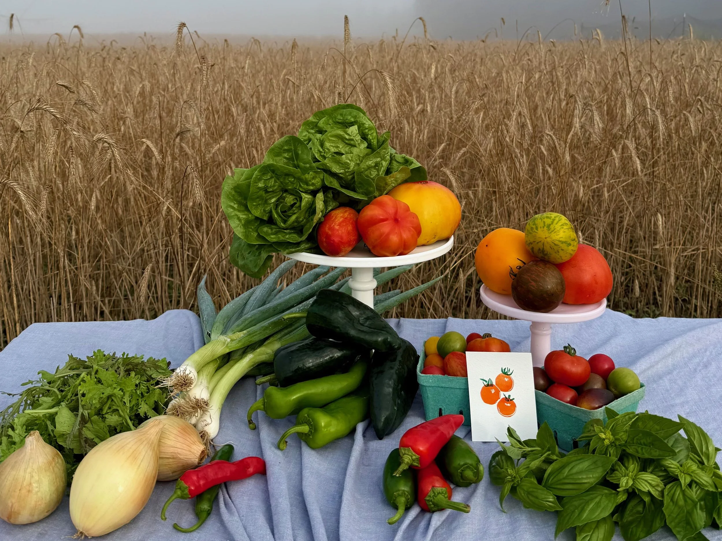 A variety of fresh vegetables and tomatoes displayed on a light blue cloth with a wheat field in the background. There's lettuce, onions, green peppers, cucumbers, basil, and various heirloom tomatoes arranged on small white and green stands and in baskets.