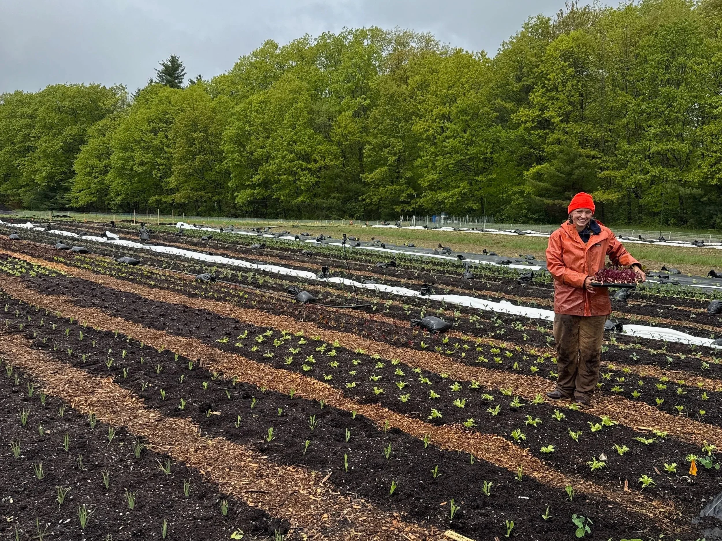 A smiling woman in a red jacket and hat stands in a vegetable garden holding a tray of leafy greens, surrounded by freshly planted rows of seedlings with a backdrop of green trees and an overcast sky.