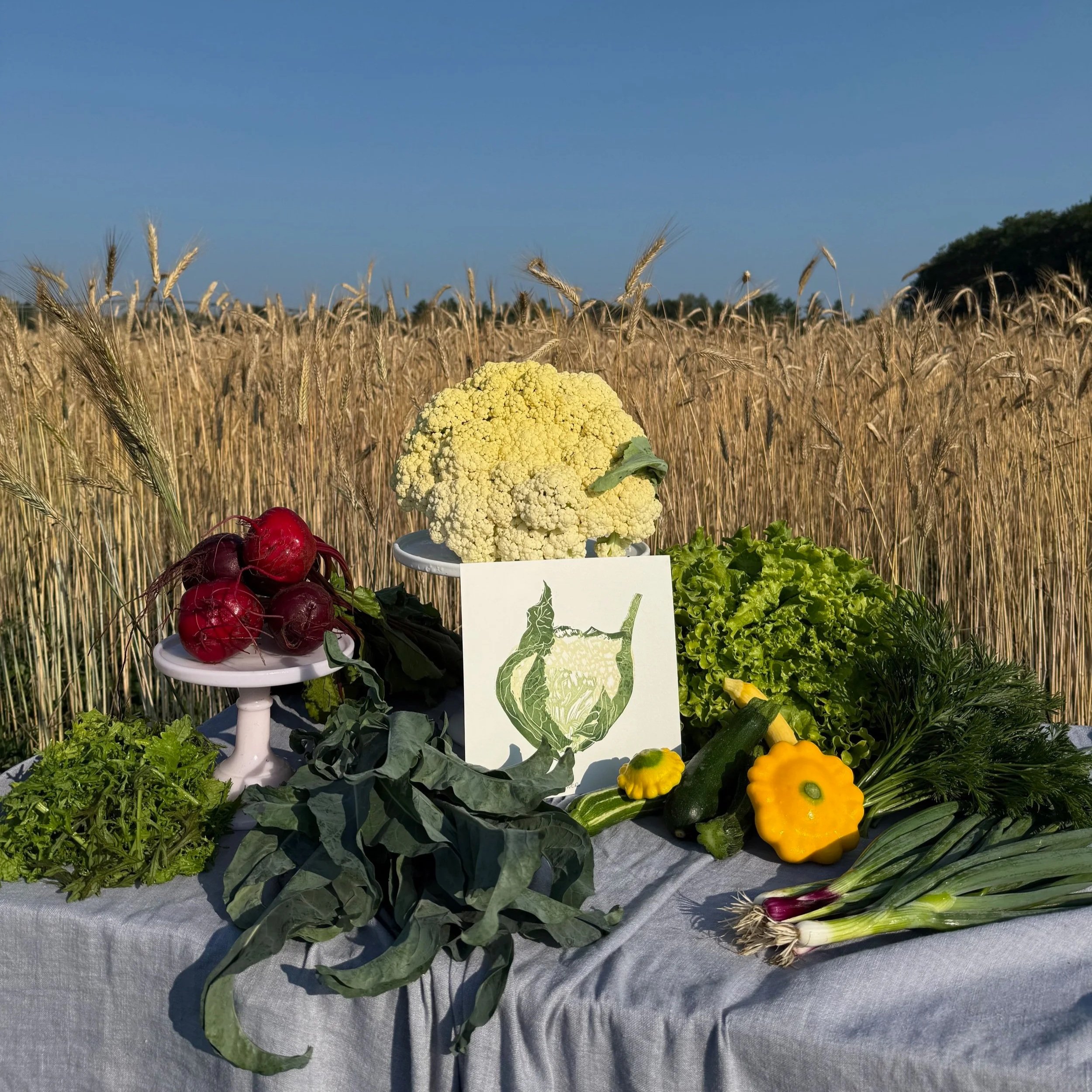 A table with various fresh vegetables, including cauliflower, radishes, zucchini, yellow squash, and green onions, set against a field of wheat under a blue sky.