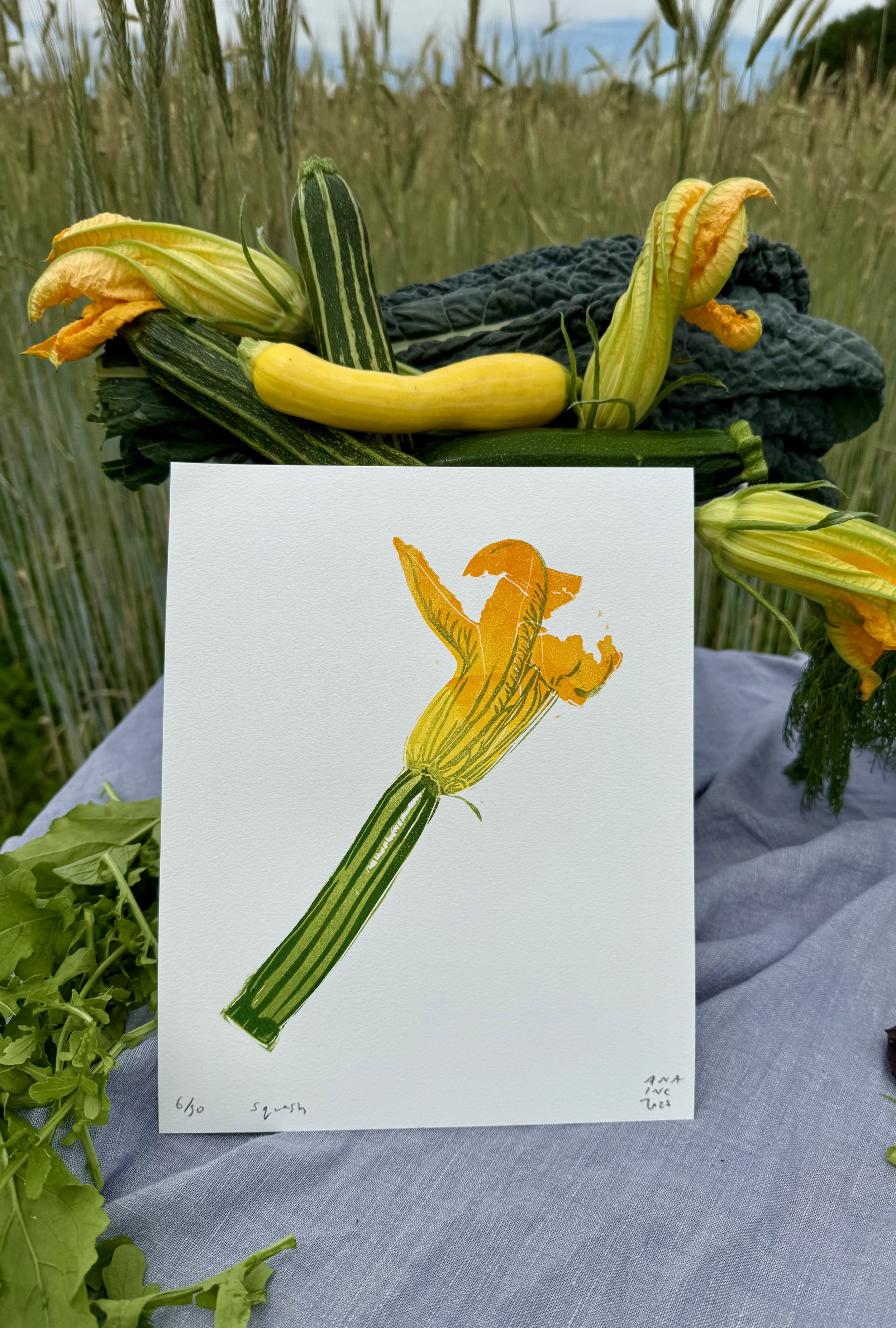 A drawing of a zucchini flower on a white paper placed on a table, with a vegetable arrangement of zucchini, squash, and kale in the background, outdoors in a field.